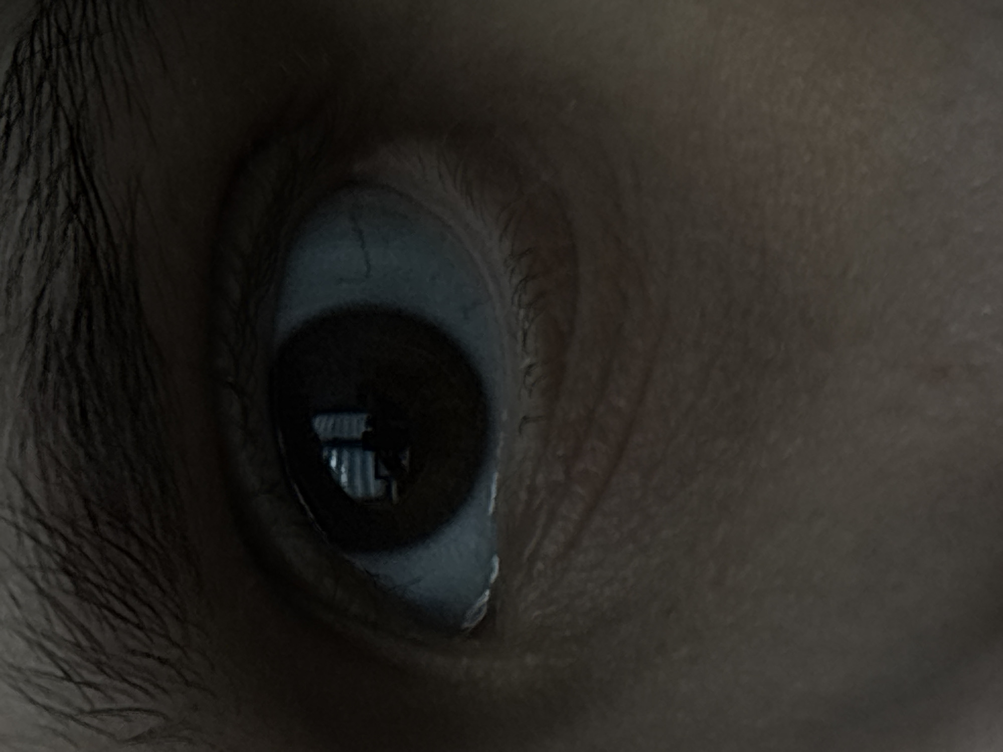 The image is a close-up of a human eye. The iris is dark brown, and the sclera appears light. The eyelashes are dark and distinct. The eyebrow is also visible in the upper part of the image and consists of dark hairs. The skin around the eye shows some texture and wrinkles. There is a reflection in the pupil, suggesting the presence of light sources and possibly objects in the environment, such as a window with blinds or a building facade. The overall lighting is dim, casting shadows on the skin. There is no identifiable information about the location in Saint Petersburg, Russia, or any specific actions or interactions.