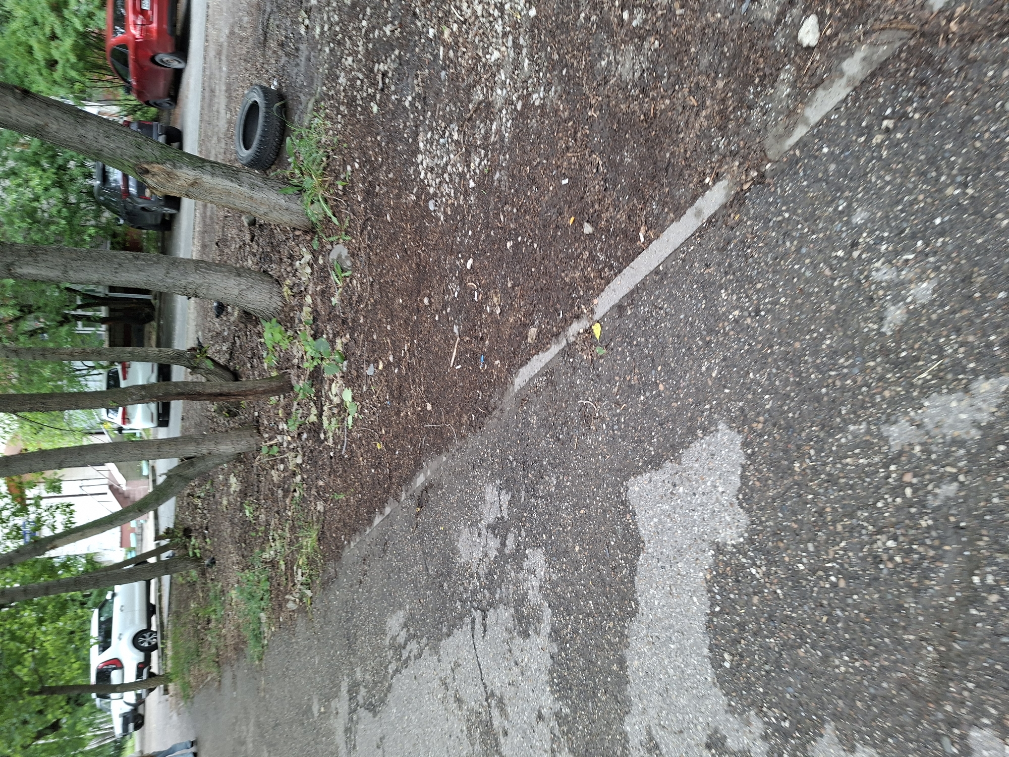 The image captures a snapshot of an urban environment, likely a residential courtyard in Kazan, Russia. In the foreground, a weathered asphalt walkway with patches of moisture runs diagonally from the bottom left to the upper right. Beyond the walkway, a strip of ground covered in mulch, small stones, and scattered debris borders a line of trees. The trees, with their rough bark, create a natural barrier. In the middle ground, several cars are visible: a white SUV parked on the left, a dark sedan, and a red car further to the right. A discarded tire lies near the base of one of the trees. In the background, buildings with light-colored facades and windows can be seen through the foliage. The overall impression is one of a slightly unkempt, functional urban space.