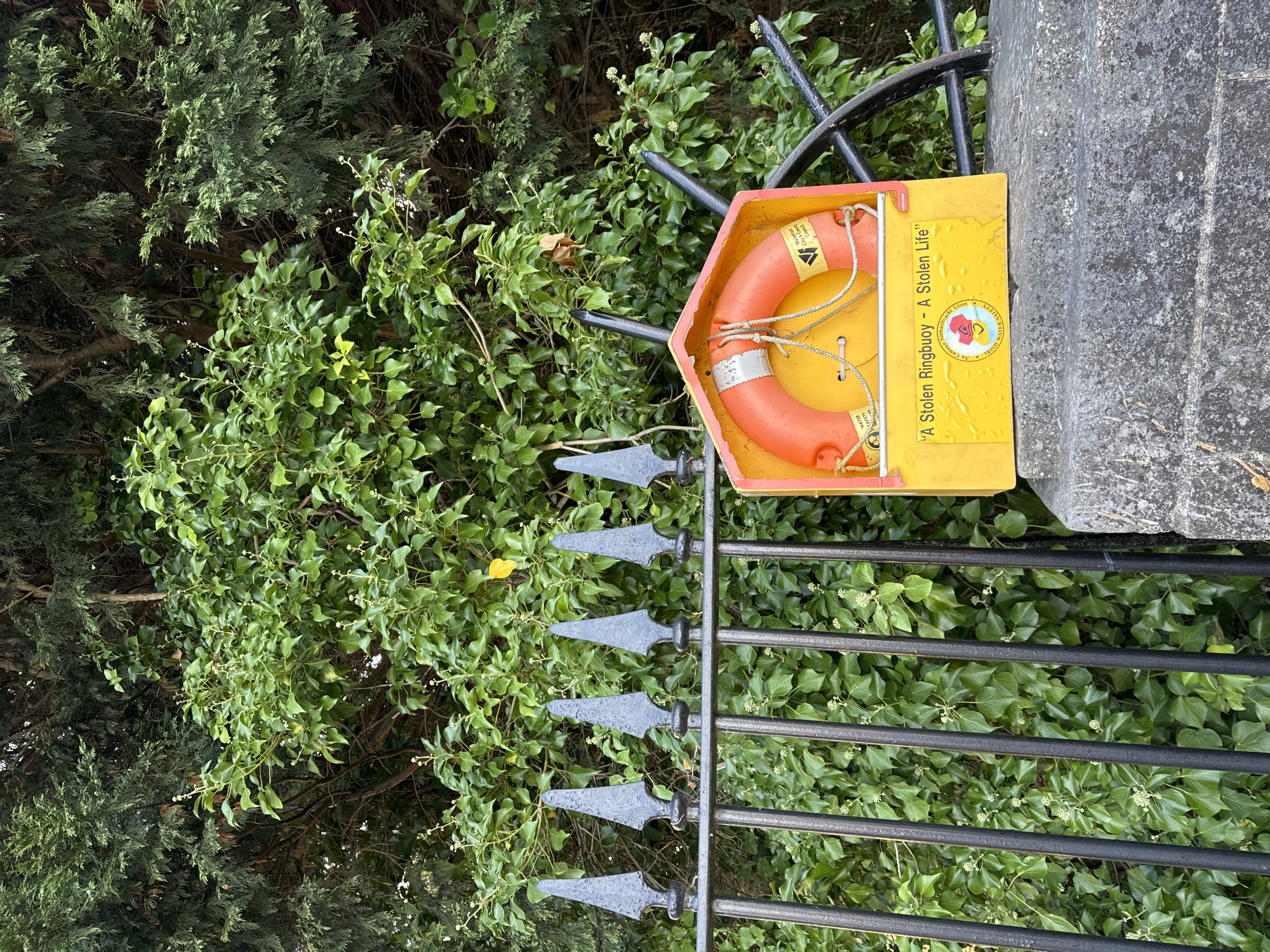 In Waterford City, Ireland, a bright yellow lifebuoy casing with an orange ring buoy is affixed to a grey stone wall. The casing, which appears to be made of painted metal, has the inscription "A Stolen Ringbuoy - A Stolen Life" printed on its front. A circular sticker with a crest and text reading "Irish Water Safety" is also visible on the casing. The lifebuoy casing is positioned behind a black wrought-iron fence with pointed finials. Behind the fence and wall, lush green foliage from trees and ivy creates a natural backdrop. The scene appears to be outdoors, possibly near a body of water given the presence of the lifebuoy. No people are present in the image.