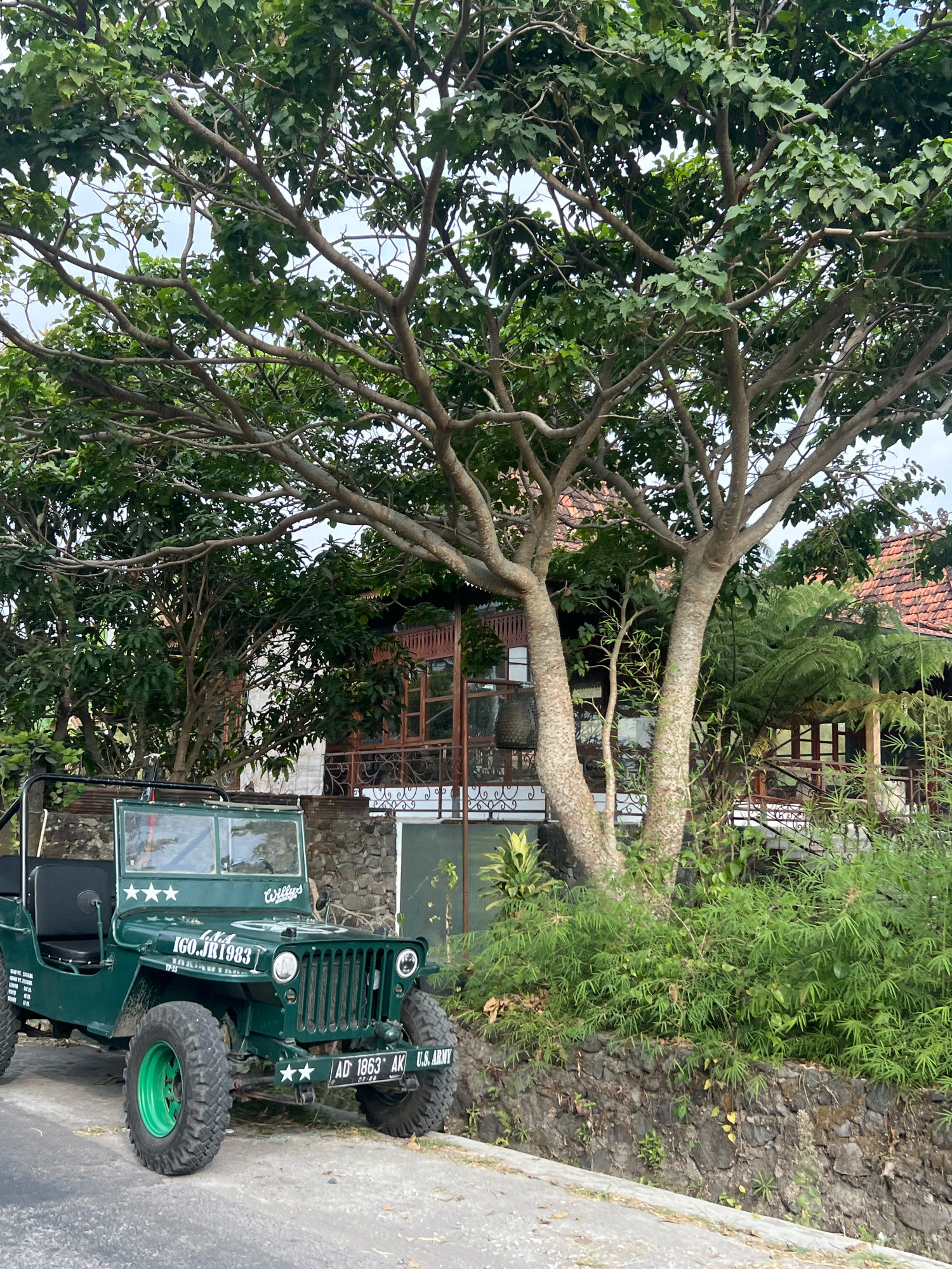 In Wukirsari, Indonesia, a vintage green Willys Jeep is parked on a paved road beside a stone retaining wall overgrown with dense green foliage. The Jeep, featuring large off-road tires with green rims, has an open-top design with a windshield and two front seats. Decals on the Jeep include three white stars, "Willys" lettering, "LNA", "IGO.JR1983", "TP-25", two white stars, and a license plate reading "AD 1863 AK U.S. ARMY". Behind the Jeep, a multi-story building with a reddish-tiled roof and wooden accents is visible, partially obscured by a large tree with a thick trunk and extensive branches covered in green leaves. A fern and other vegetation are also present. The scene appears to be in a rural or semi-rural setting with a natural, lush environment.