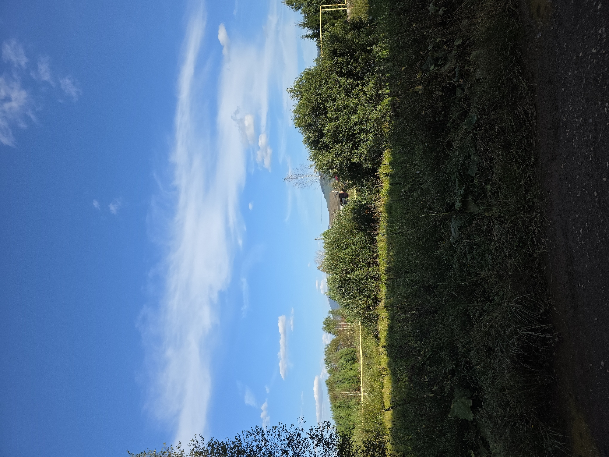 The image depicts a natural landscape under a bright blue sky with wispy white clouds. In the foreground, a dirt path is visible, transitioning into a dense field of green grass and vegetation. The middle ground is dominated by a line of lush green trees and bushes, with a hint of a building and a yellow pole visible behind them. Further in the background, rolling hills under the expansive sky complete the serene scene. There are no people or animals present in the image, and no discernible actions are taking place. The environment appears to be rural, possibly on the outskirts of Magnitka, Russia, given the presence of natural elements and a sparsely populated feel.