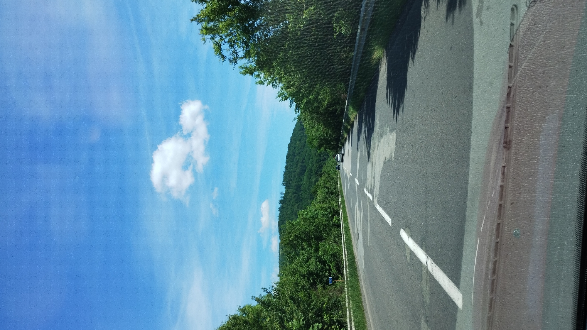 The image depicts a road with a few cars traveling on it, bordered by dense green trees on both sides. The road has white lane markings. In the distance, a tree-covered hill forms the backdrop. The sky is blue with a few scattered white clouds. The photo appears to have been taken from inside a vehicle, looking forward. There is a road sign with the number "743" on the left side of the road. The location is identified as Nelipyno, Ukraine.