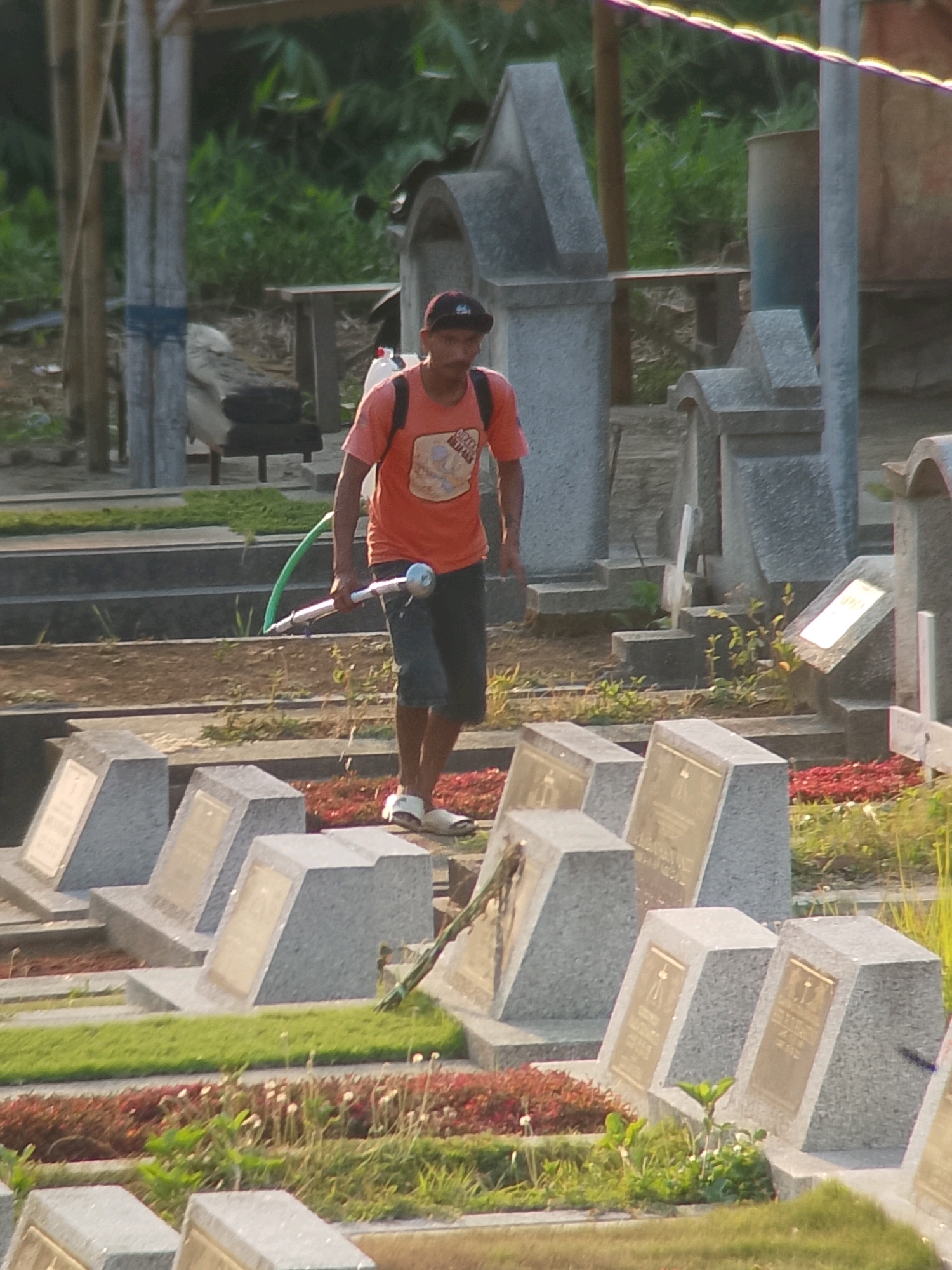 A person is walking through a cemetery in Jember, Indonesia, carrying a spray can and a green hose. The person is wearing an orange t-shirt, dark shorts, a black baseball cap, and white sandals. The cemetery features several headstones, some with gold plaques, and is surrounded by greenery and trees. The scene appears to be a sunny day.