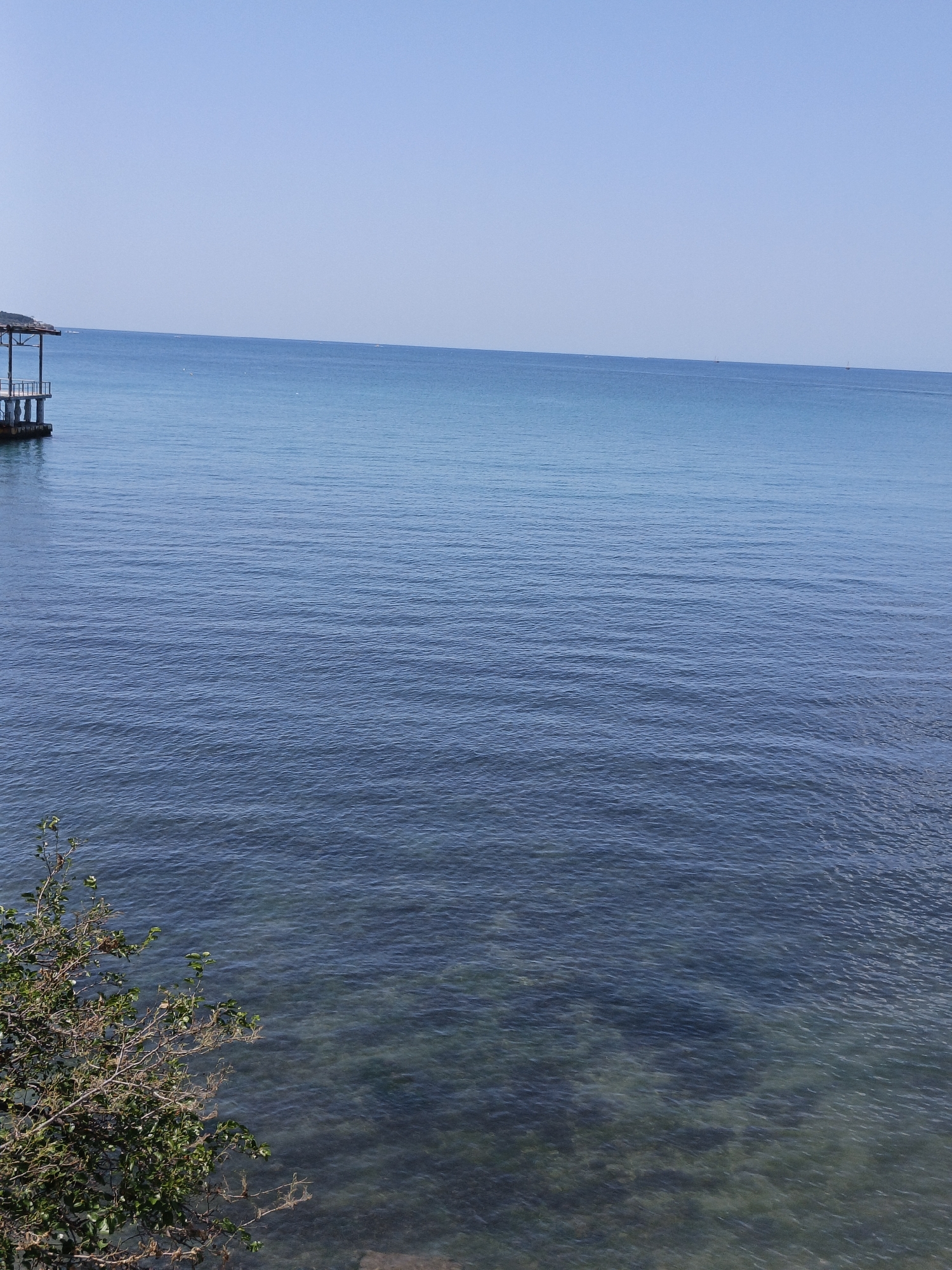 A wide-angle, eye-level, outdoor shot captures a calm, clear blue sea under a bright, cloudless sky. The water's surface exhibits gentle ripples, creating a textured appearance. In the distance, a thin horizon line separates the sea from the sky. On the left side of the frame, a pier or platform with a roof extends over the water. In the foreground, to the lower left, a branch with green leaves overhangs the water, with its reflection faintly visible. The image appears to be taken from an elevated vantage point overlooking the sea. The scene is devoid of any people or overt activity. The overall impression is one of serene natural beauty. The location is identified as Pshada, Russia.