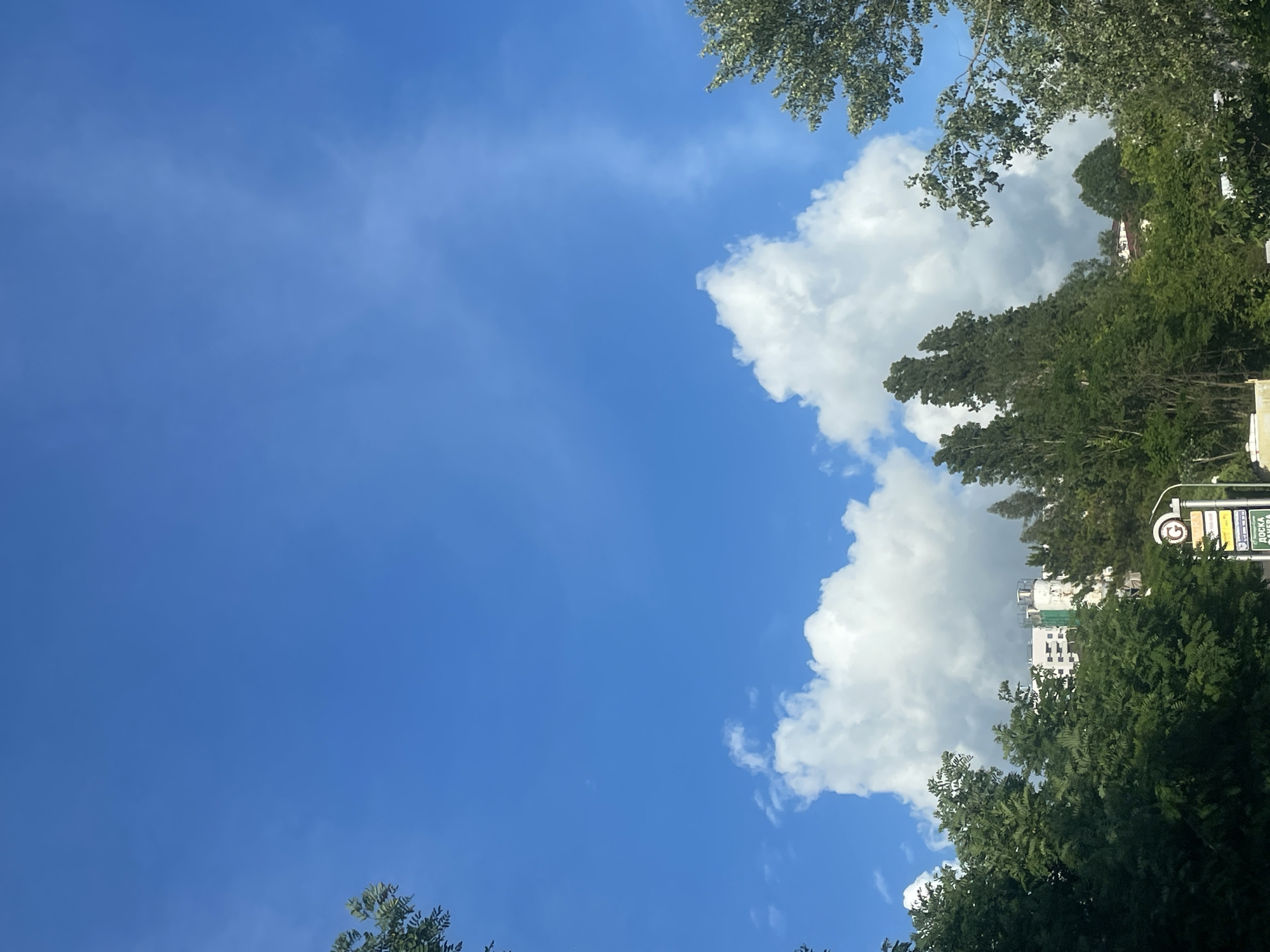 The image depicts a clear blue sky with scattered white clouds, viewed from a low angle. The foreground is dominated by lush green trees and foliage. In the background, buildings are visible, suggesting an urban or suburban environment. A traffic sign with Cyrillic text, including "ДОСКА ПОЧЕТА" which translates to "Board of Honor," is present on the right side, indicating a location in Russia. The scene appears to be a sunny day, with the sun not directly visible but implied by the bright illumination. The overall impression is a serene, natural setting juxtaposed with urban structures.