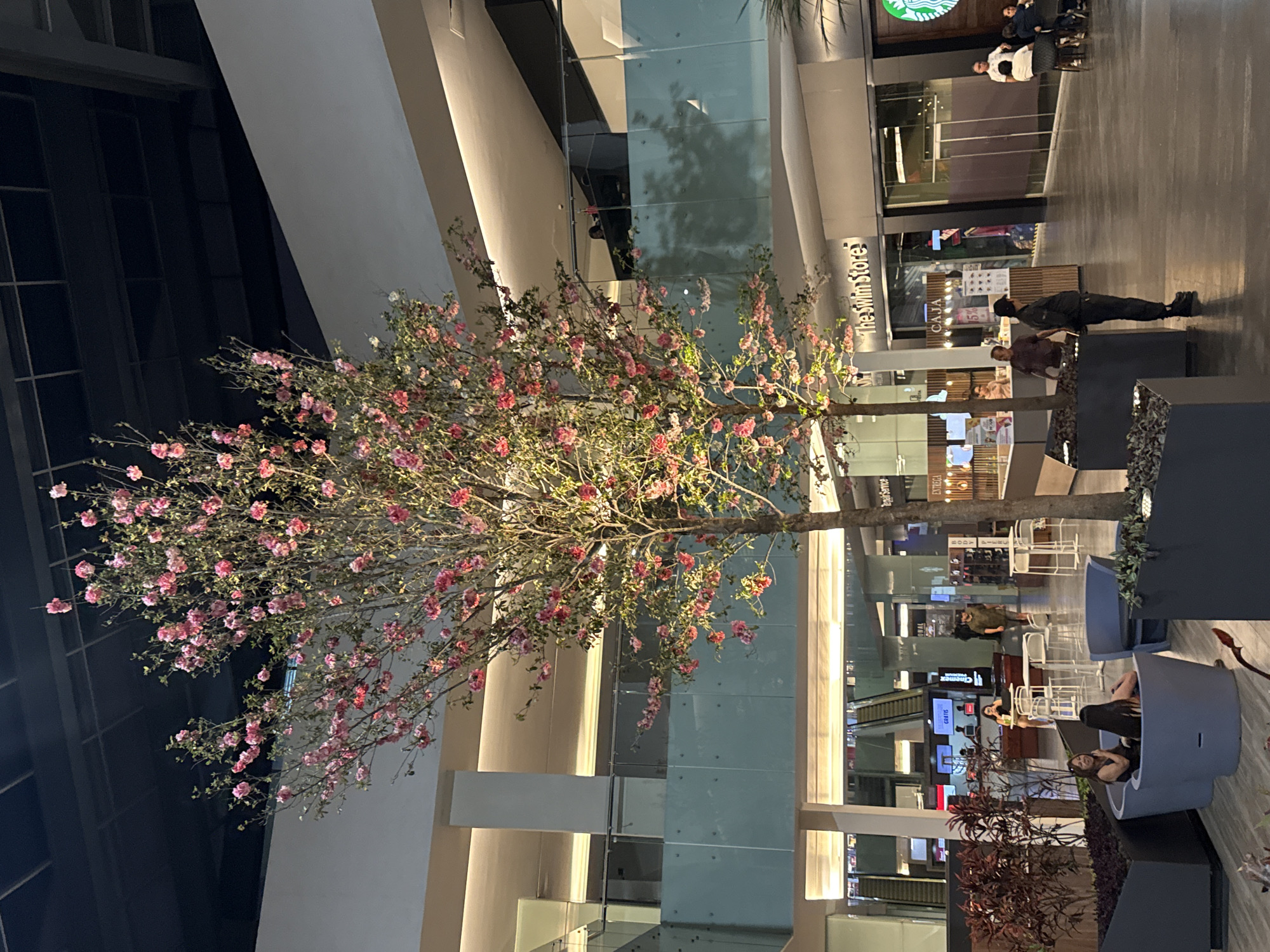 The image depicts the interior of a modern shopping mall located in Puebla, Mexico. The mall has multiple floors with glass walls and vertical lighting. The focal point of the image is a large tree with pink and white flowers planted in a large planter. People are walking and sitting in seating areas throughout the mall. Shops are visible on multiple levels, including a Starbucks.