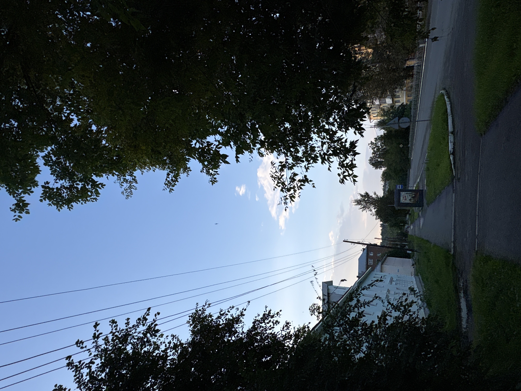 This image depicts an outdoor scene in a city, likely during daylight hours, with a focus on a residential street and its surrounding elements. In the foreground, a paved sidewalk runs parallel to a grassy area with a puddle. To the left, a white building with multiple windows is visible, partially obscured by dark green foliage from a large tree. Power lines stretch across the upper portion of the frame, crisscrossing against a blue sky with scattered white clouds. A road curves to the right, bordered by a grassy median. Further down the street, several multi-story buildings and trees can be seen. A bus stop shelter and a billboard are also present. The overall impression is that of a quiet urban environment, possibly a suburb, with a mix of residential and infrastructure elements.