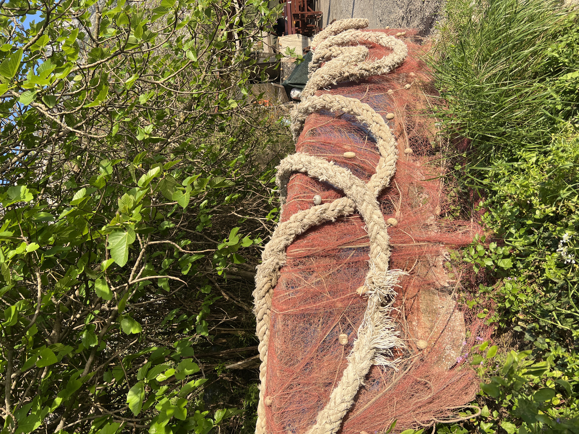 An eye-level outdoor shot shows a tangled, knotted cream-colored rope coiled atop a reddish-orange fishing net. The net lies draped over a weathered concrete or stone structure, partially obscured by green vegetation on both sides. The left side is dominated by a leafy tree or shrub, while the right side features a mix of grasses and leafy plants. In the background, out of focus, is a partial view of a building or structure with what appears to be some metalwork. The image was taken during the daytime, and possibly in the city of Donji Orahovac, Montenegro.