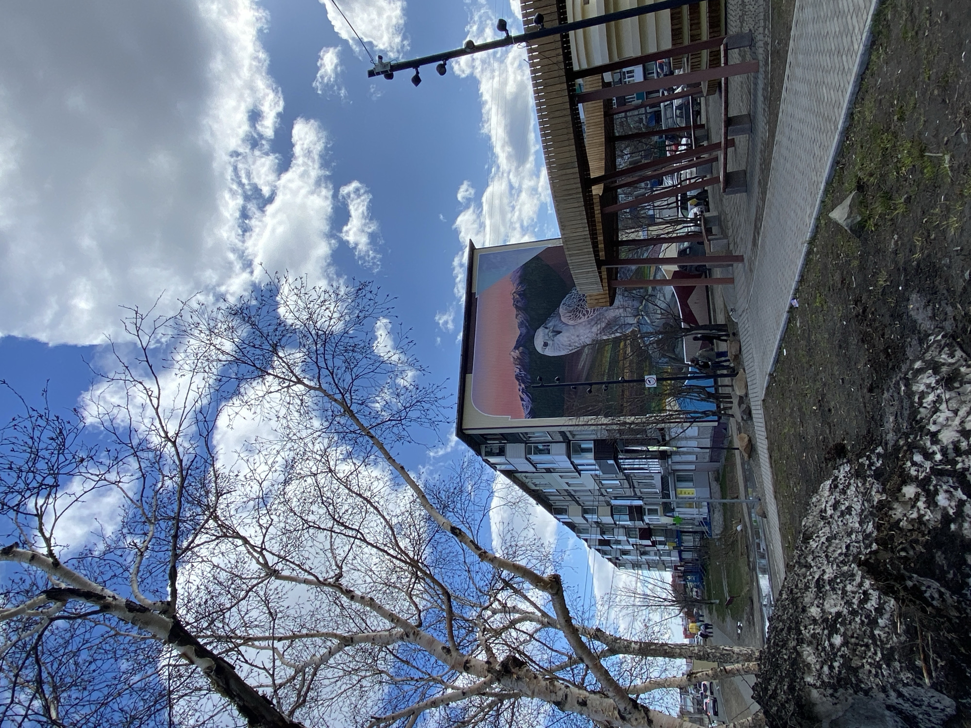The image shows a cityscape in Petropavlovsk-Kamchatsky, Russia. In the foreground, a bare tree stretches against a blue sky with scattered clouds. An apartment building with a mural of a snowy owl perched on rocks is visible. To the right of the building, there's a partially covered walkway, a paved sidewalk, and an unpaved grassy area. A streetlight is seen above the walkway. People appear to be walking on the sidewalk, though they are somewhat distant.