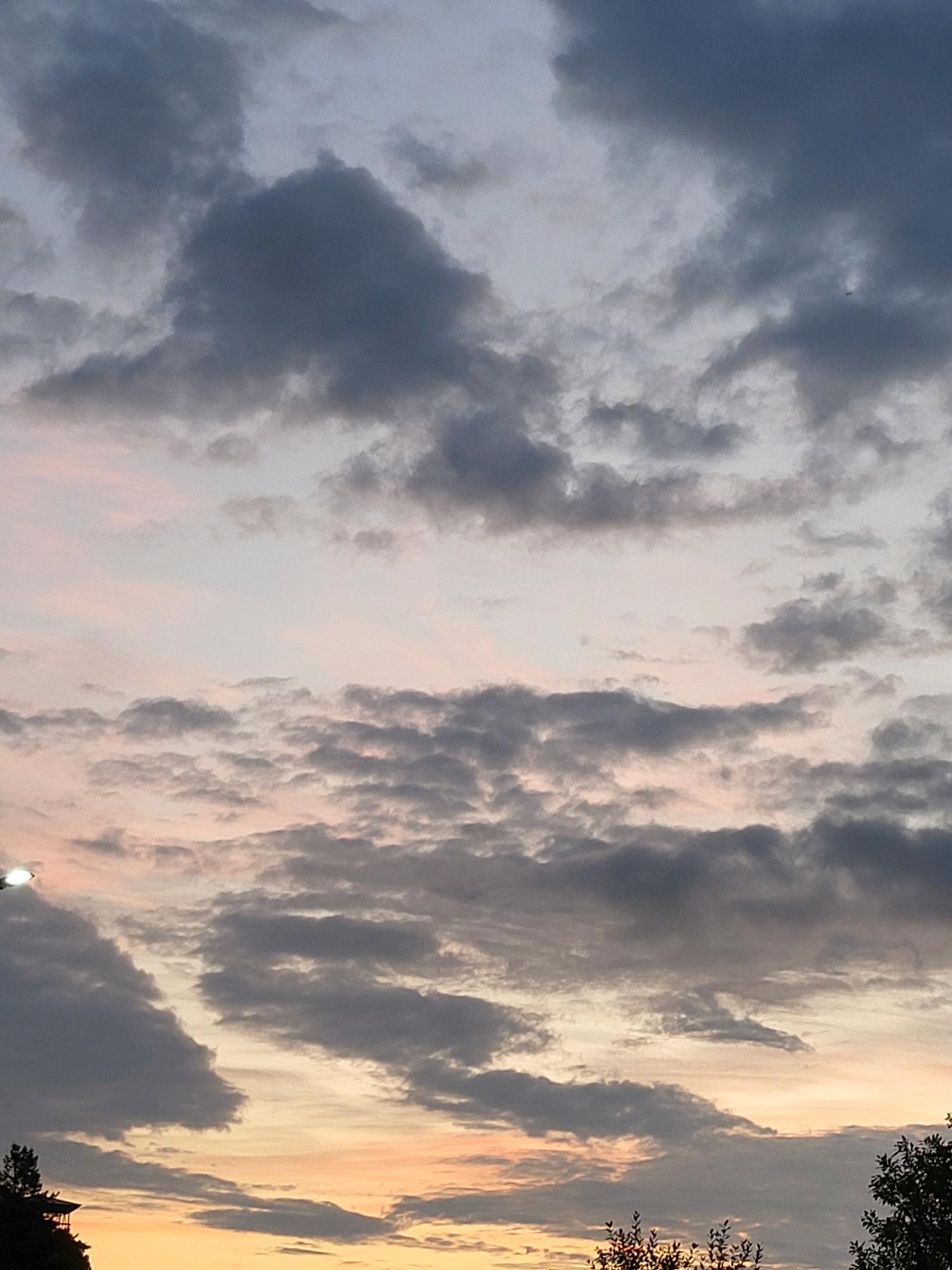 This is a full-frame, eye-level, vertical, medium shot of a cloudy sky at dusk. The sky is filled with varying shades of gray, white, and pinkish-orange clouds, indicating the setting sun. A small, dark silhouette of trees and a building structure is visible along the bottom left edge of the frame, against the brighter horizon. In the upper portion of the sky, a tiny black speck, possibly a bird or aircraft, is visible. The scene is devoid of any discernible human activity or interaction, capturing a natural, atmospheric moment. The location is Ozolnieki, Latvia.