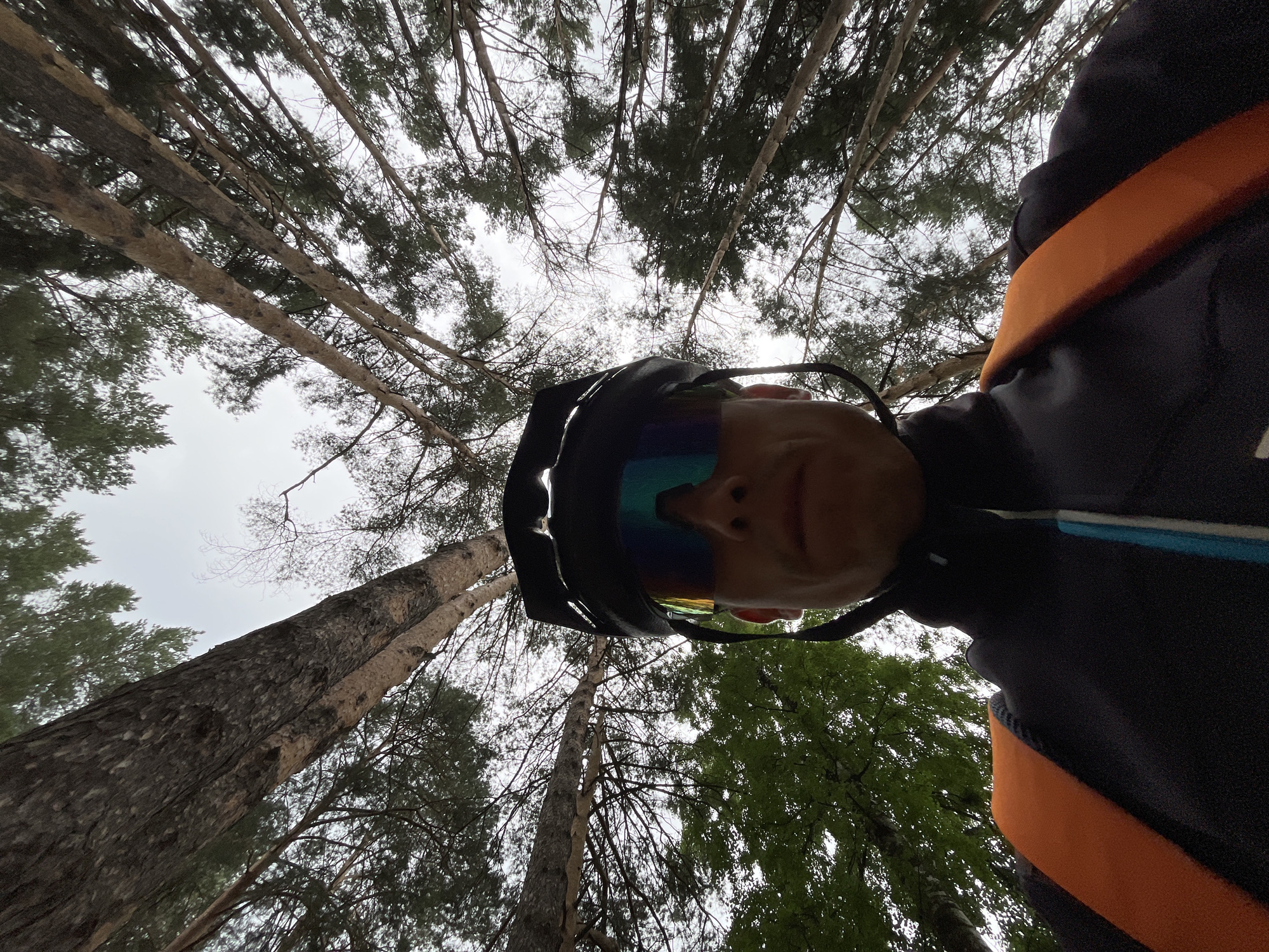 A low-angle, close-up selfie of a person wearing a black cycling helmet and mirrored goggles looks up at the camera. The person is wearing a black jacket with an orange strap across the shoulder, possibly from a backpack. The background is a dense forest of tall, thin trees, with their trunks extending upwards and a bright, overcast sky visible through the branches. The scene appears to be outdoors, in a natural environment. The person's face is partially obscured by the goggles and the angle of the shot. The overall impression is one of an outdoor adventure, possibly cycling or hiking. There is no specific indication of location within Chaikovsky, Russia, beyond the general context of a forest.