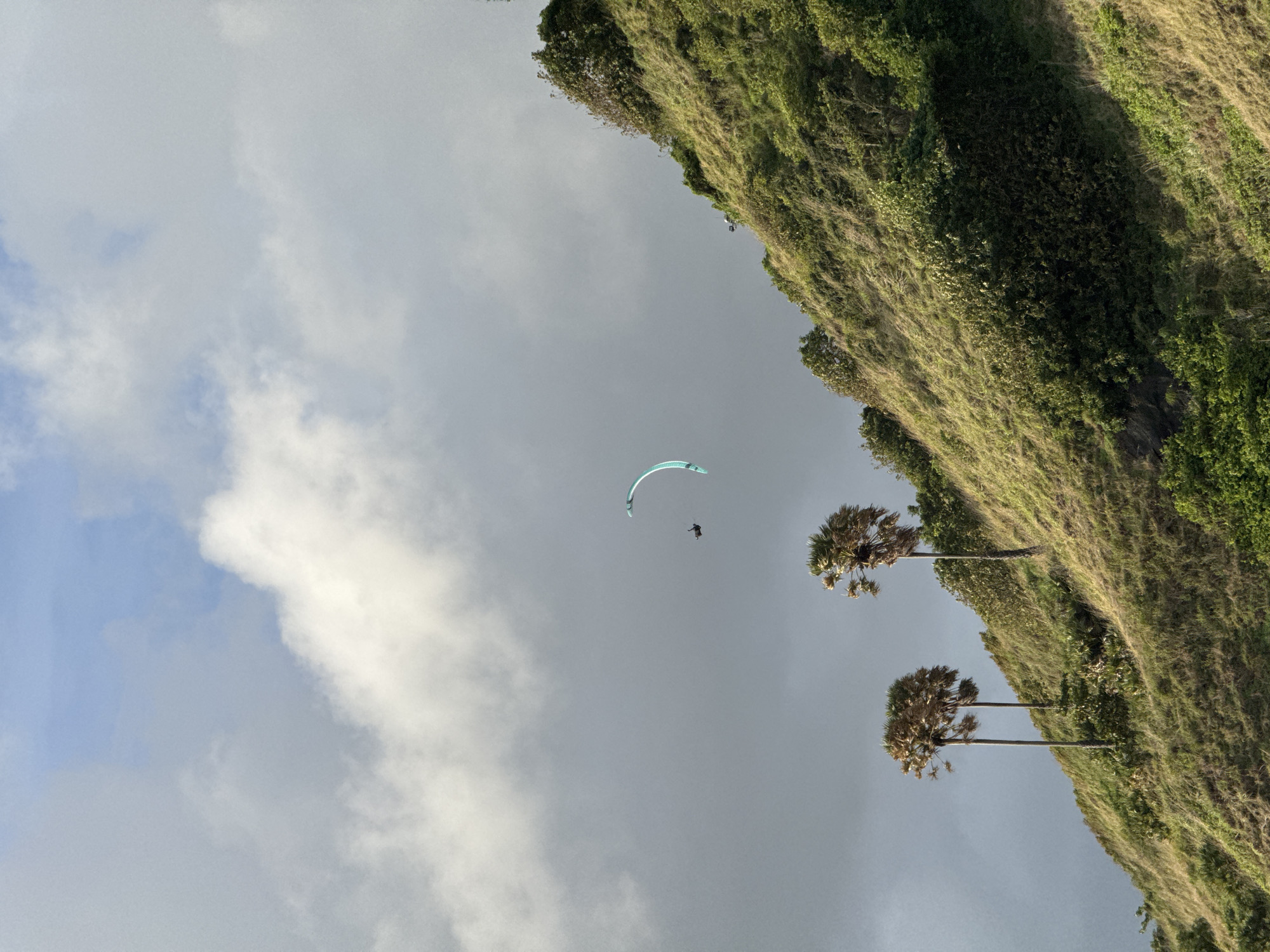 The image depicts a paraglider in mid-flight over a grassy, tree-covered hillside in Rawai, Thailand. The paraglider, a small human figure attached to a light blue and white paraglider, is suspended in the sky. The hillside is covered in lush green grass and scattered trees, with two palm trees visible in the foreground. The sky is partly cloudy, with patches of blue sky showing through. The scene is a wide shot, capturing the paraglider, the hillside, and the sky in a single frame.