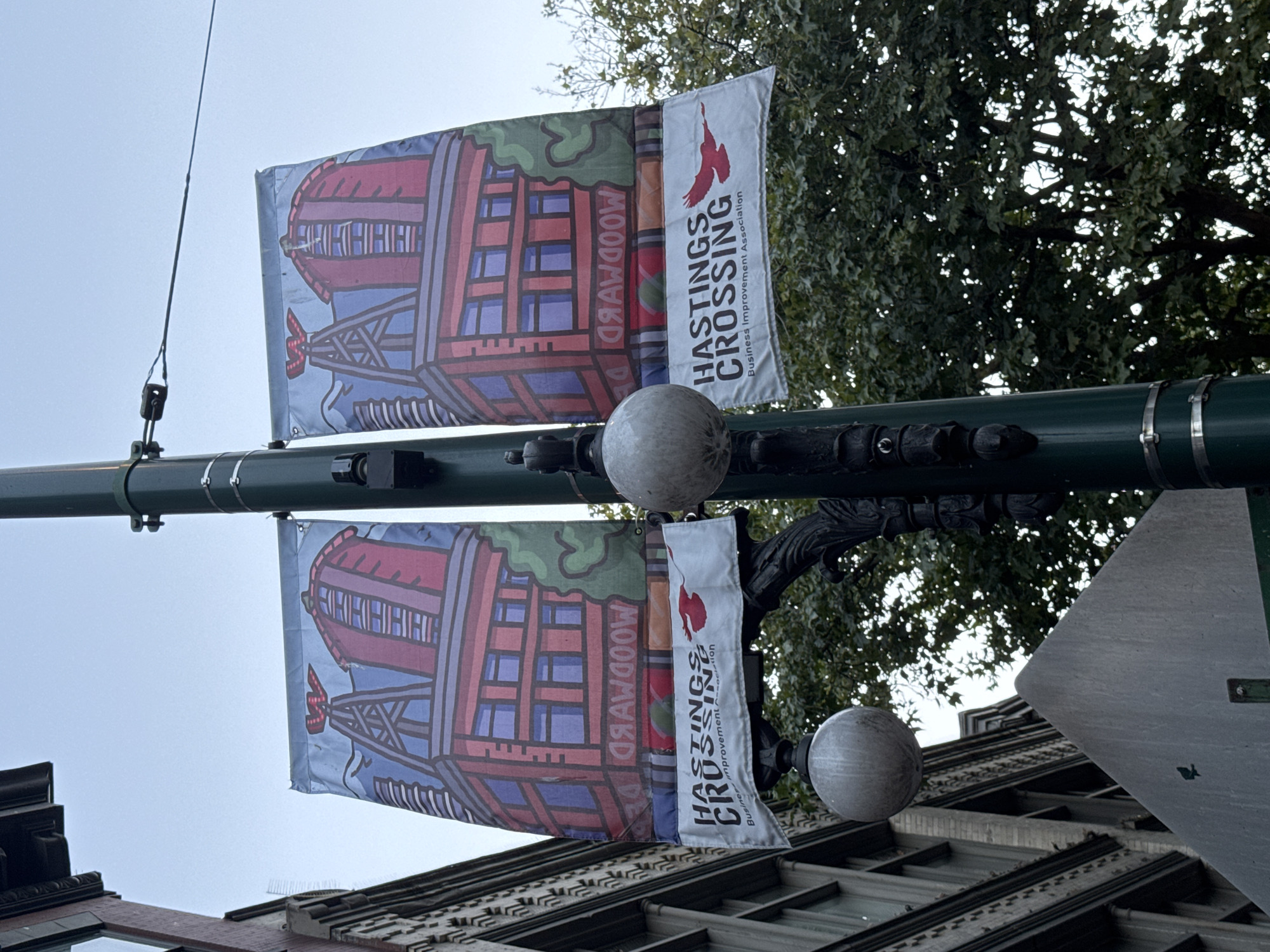 The image shows two identical banners hanging from a green lamppost in an urban environment. The banners depict a stylized illustration of two red brick buildings with blue windows and a large green tree. The top portion of the banners has text that appears to be backwards but is likely meant to be read as "WOODWARD". Below the illustration, each banner has white text that reads "HASTINGS CROSSING" in large, bold letters, and "Business Improvement Association" in smaller letters. A red bird graphic is also present on the lower part of each banner. The lamppost has two spherical, grey lights attached to it. To the left of the lamppost, a portion of a building with a detailed, grey facade is visible. To the right, the branches and leaves of a large, mature tree are seen. The sky is overcast and appears to be daytime. The setting is consistent with a street scene in Vancouver, Canada, likely in the Hastings area.