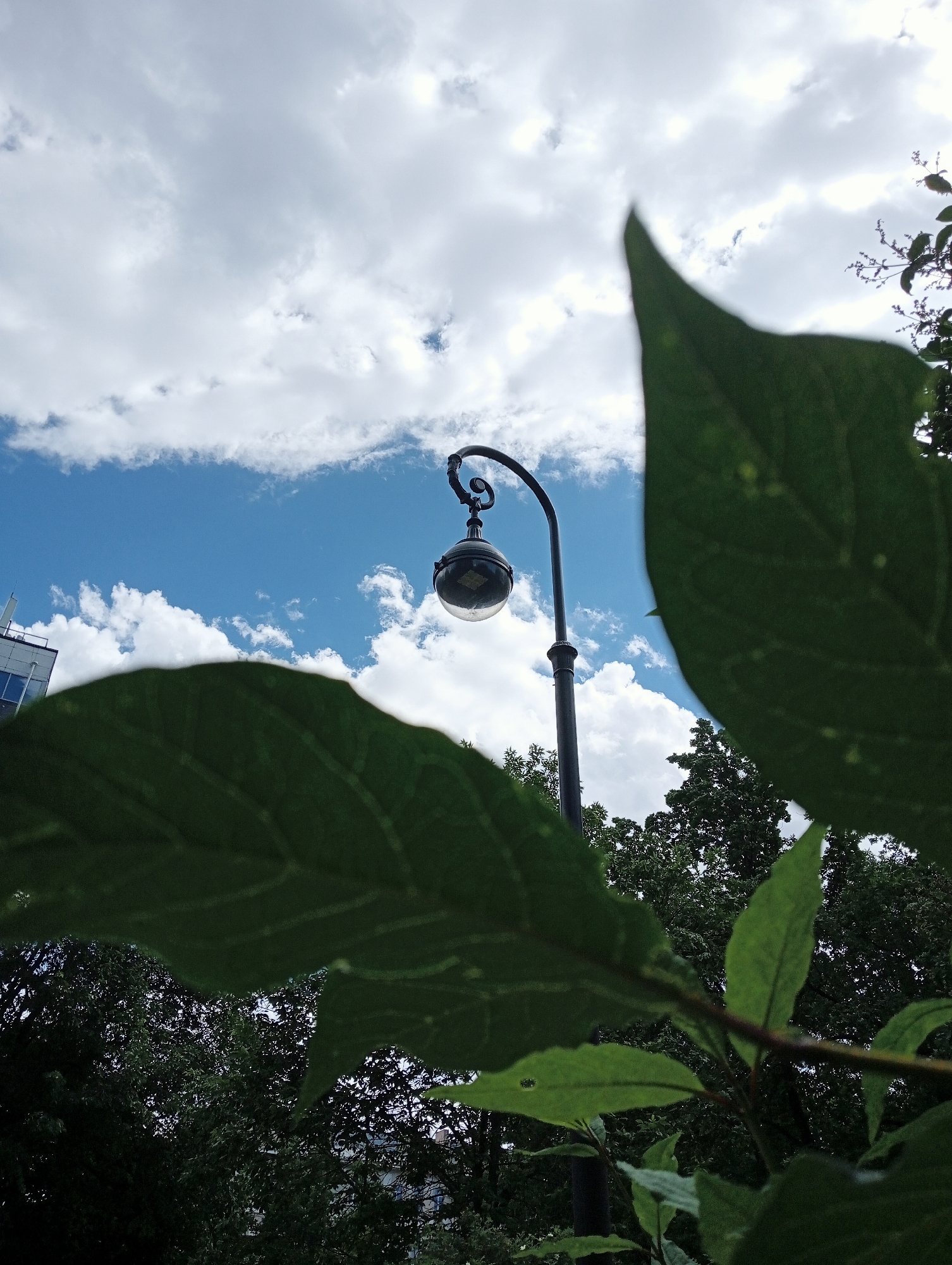 The image shows a lamppost against a cloudy blue sky, framed by lush green foliage. The lamppost features a classic design with a curved arm supporting a spherical glass lantern. In the background, a modern building with windows is partially visible, suggesting an urban setting. The surrounding trees indicate a park or a tree-lined street. The lighting suggests it is daytime. The image does not contain any people or identifiable landmarks that would allow for precise location within Saint Petersburg, Russia.