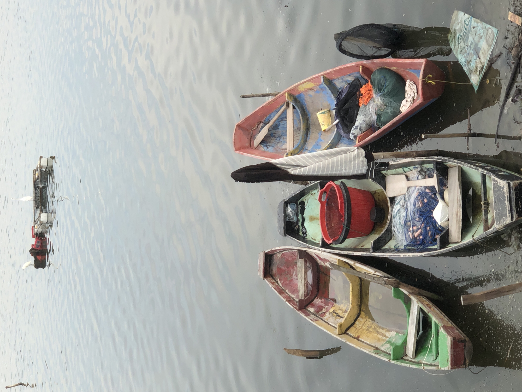 In Lhokseumawe, Indonesia, four small wooden boats are moored in calm, rippling water. The boat closest to the viewer on the left is painted green and red, with some yellow on the interior. It contains some water and a wooden plank. Next to it, a second boat, primarily green with a black rim, holds a red bucket, a fishing net, and a white object. A third boat, with a red hull and blue interior, is partially visible and contains a wooden oar, fishing nets, and other items. A fourth boat, to the right, has a red hull and blue interior. It contains fishing nets, a black bag, and an orange item. A black fishing net is also visible in the water to the right of this boat. In the background, a small raft with two white birds and some red objects floats on the water. The water appears slightly murky, with some debris visible near the boats. Wooden posts stick out of the water, acting as moorings.