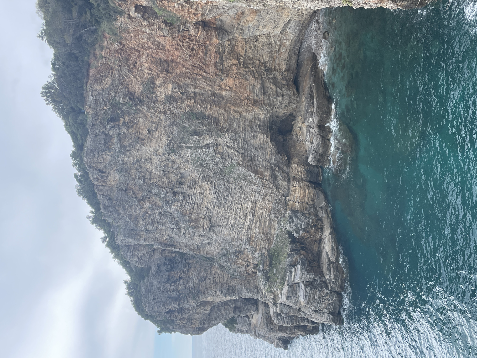 The image depicts a rugged coastal scene in Budva, Montenegro. A large, steep cliff face, composed of stratified rock layers in grey, beige, and reddish-brown tones, dominates the right and central portions of the frame. The cliff's summit is covered with dense green trees and sparse vegetation, which also appears on various ledges along its face. At the base of the cliff, the clear, turquoise-green waters of the Adriatic Sea meet the rock formations, creating several natural caves and shadowed inlets where waves break. The water exhibits varying shades of blue and green, indicating depth changes, with visible surface ripples. The sky overhead is overcast, displaying a light grey, hazy appearance. No individuals, man-made structures, or vessels are present in the frame.