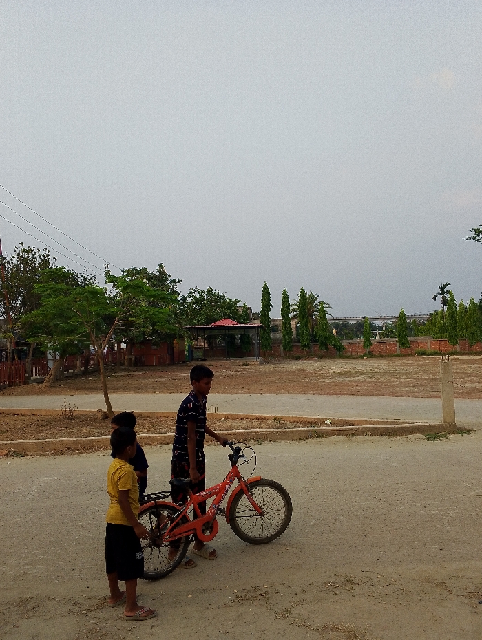 Memory