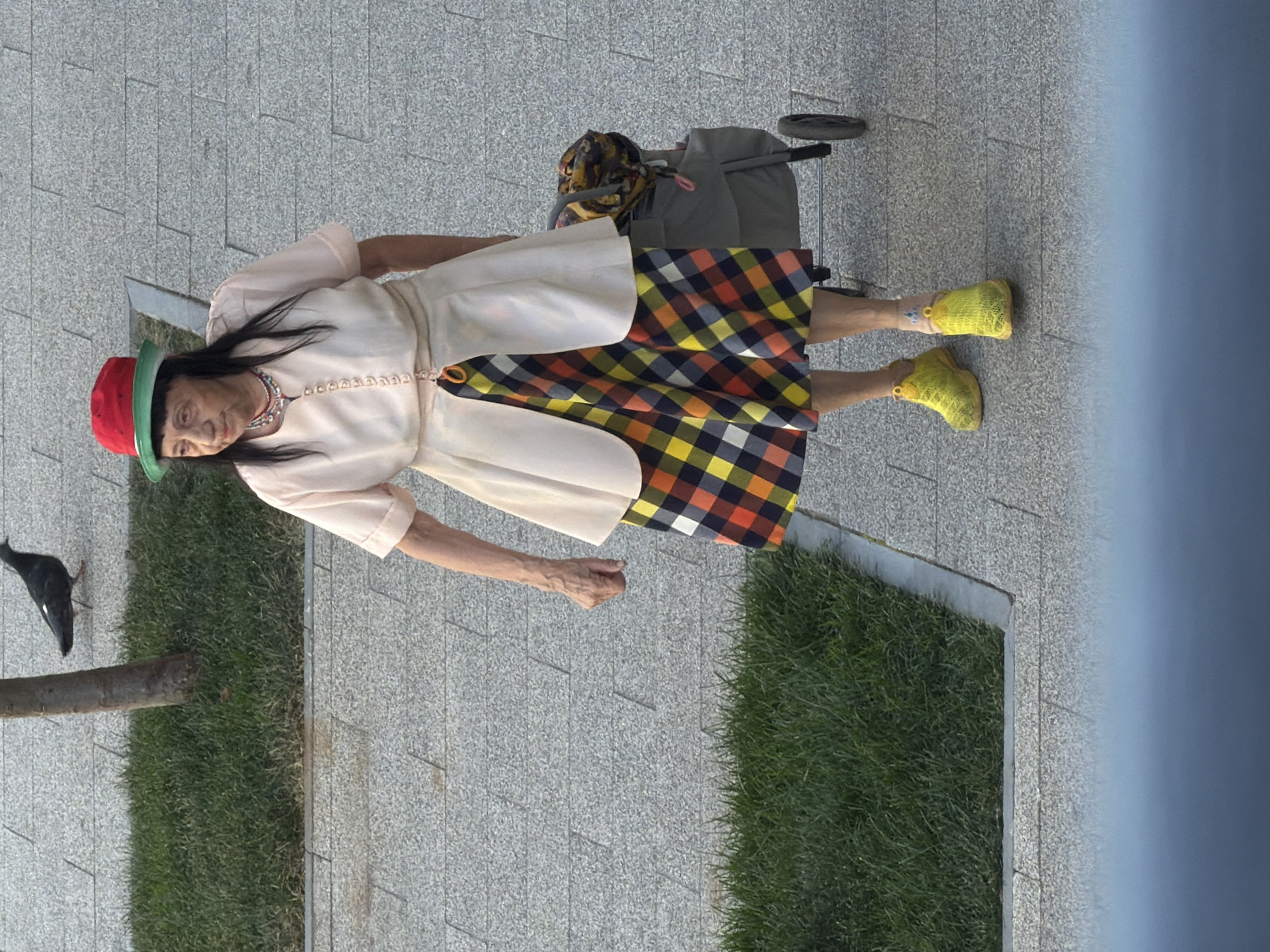 An elderly woman with dark hair and a red and green hat walks down a paved sidewalk with a shopping cart. She is wearing a light pink blouse, a cream-colored overlay, and a plaid skirt in yellow, orange, blue, and black. Her shoes are bright yellow. A pigeon stands on the grass to the left of the sidewalk, near a tree trunk. The scene appears to be outdoors in a city environment.
