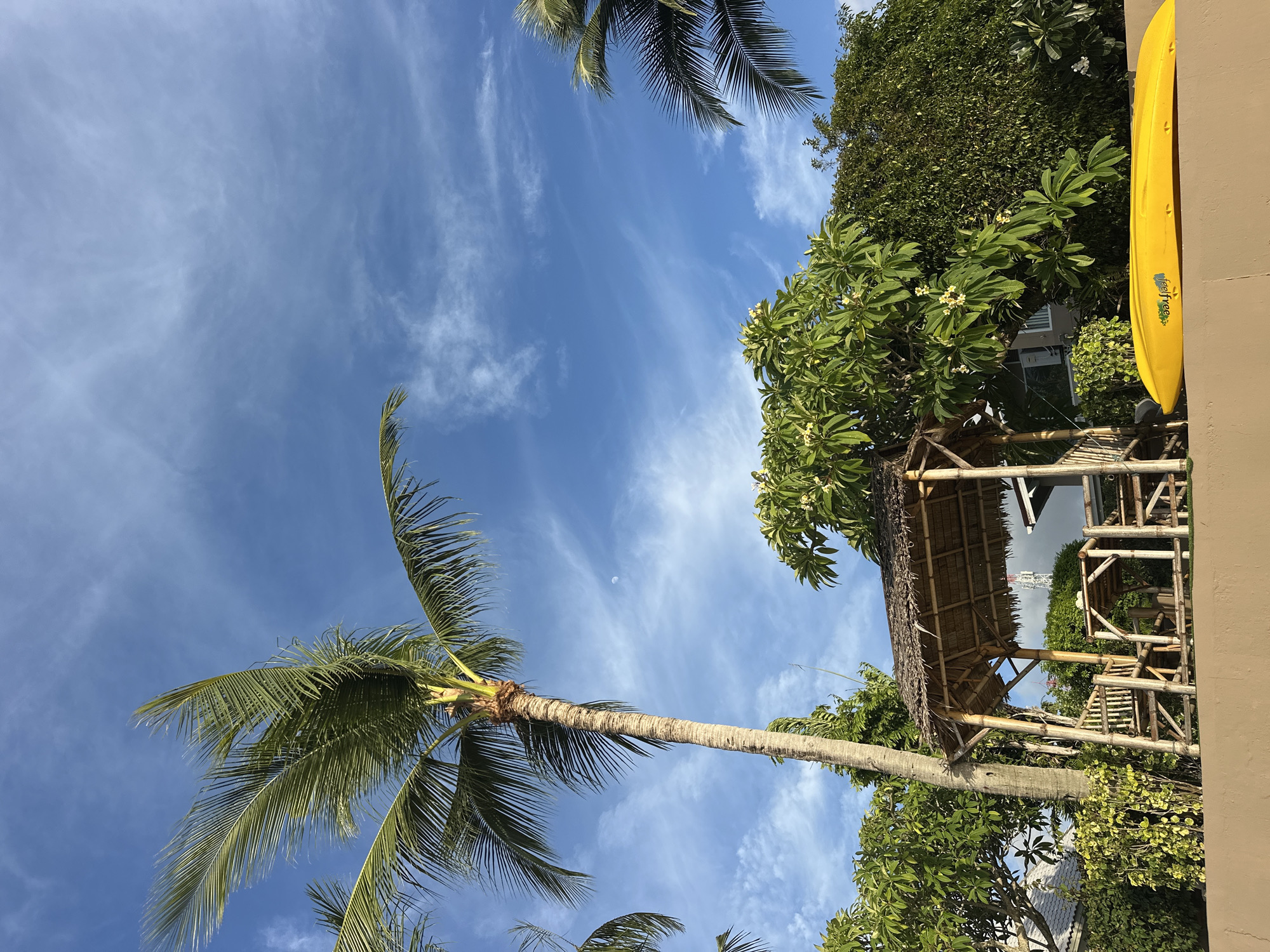 The image depicts an outdoor scene, likely in Ko Samui District, Thailand, on a clear day with a bright blue sky dotted with wispy clouds. In the foreground, a textured, light brown wall runs horizontally across the bottom of the frame. Resting on top of this wall is a bright yellow kayak, positioned parallel to the wall and facing towards the right.
Dominating the left side of the image is a tall palm tree with its fronds extending upwards and outwards, some of them swaying gently. To the right of the palm tree, and slightly behind it, is a small, open-air hut constructed from bamboo and topped with a thatched roof. Inside the hut, there are bamboo benches and a table.
Behind the hut and palm tree, lush green foliage is abundant, with several trees and shrubs. One tree, in particular, is laden with small white flowers. In the middle distance, a building with white walls and a dark roof is partially visible through the trees. Further in the background, a tall communication tower with a white lattice structure can be seen.
The overall atmosphere is tropical and serene, suggesting a vacation or resort setting. The lighting indicates it is daytime, with sunlight casting shadows and illuminating the scene. There are no people visible in the image.