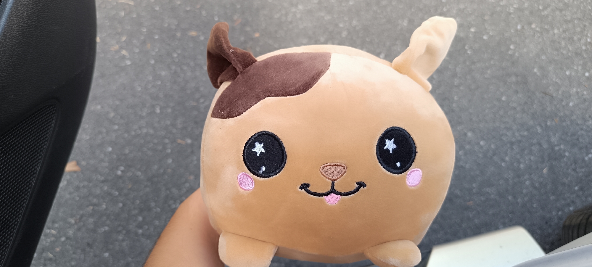 A tan-colored, round plush toy animal with brown ears and a brown patch on its head is being held by a person's hand in front of a gray, speckled surface. The toy has large black eyes with white star-shaped pupils, pink circular cheeks, and a smiling mouth with a pink tongue sticking out. The background appears to be asphalt. To the left of the toy, a dark gray, textured object, likely part of a car interior, is visible. The scene is outdoors.