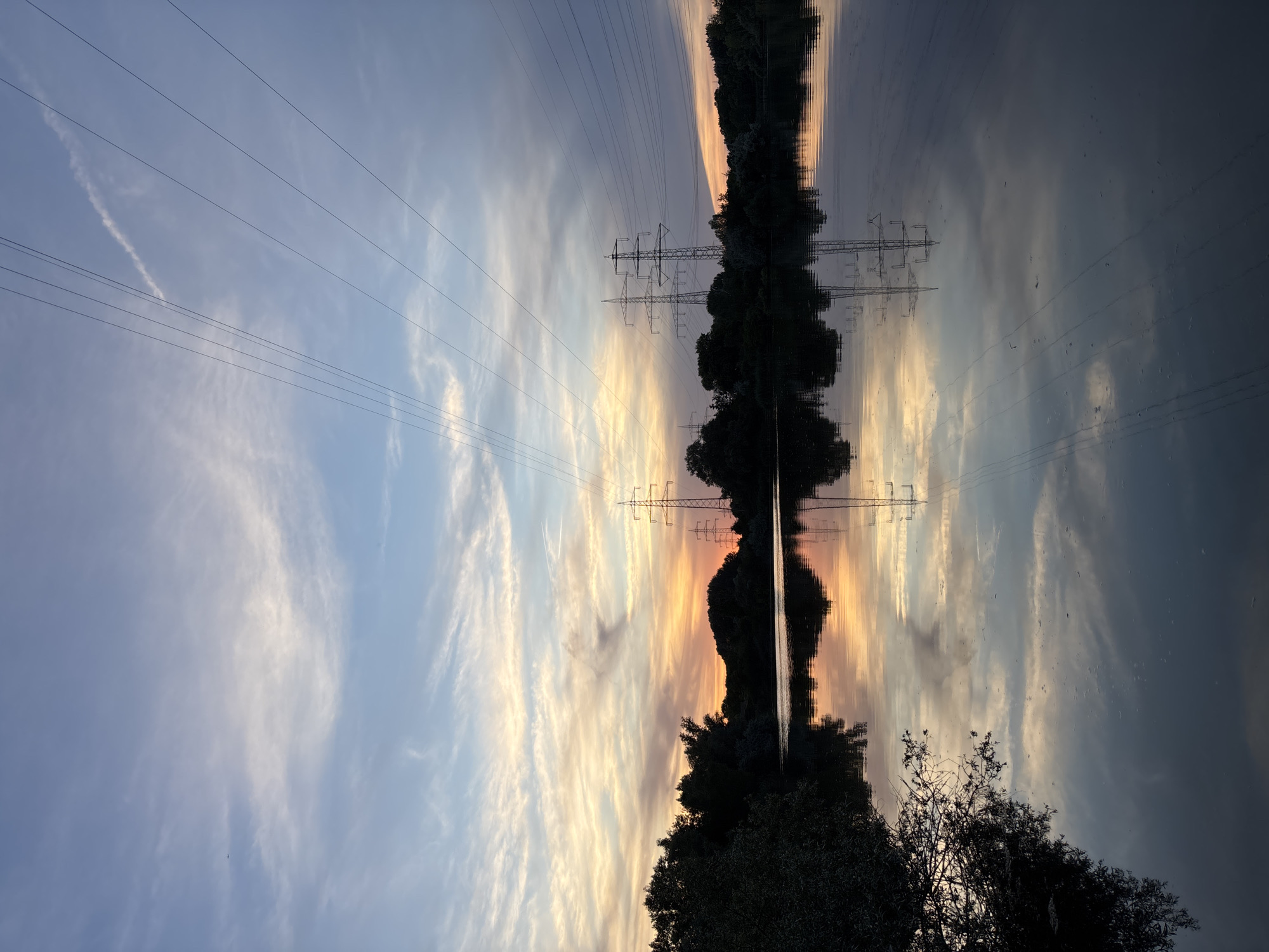 The image depicts a tranquil sunset scene over a body of water, likely a lake or river, in Ludwigshafen am Rhein, Germany. Silhouetted against the colorful sky are dense trees lining the opposite bank. Several tall electricity pylons with high-voltage power lines are visible, stretching across the frame and extending to the horizon. The sunset paints the sky with hues of orange, yellow, and soft blues, with wispy clouds adding texture. The calm water perfectly reflects the sky, the trees, and the pylons, creating a symmetrical and serene composition. The overall impression is one of natural beauty juxtaposed with industrial infrastructure, captured during the twilight hours.