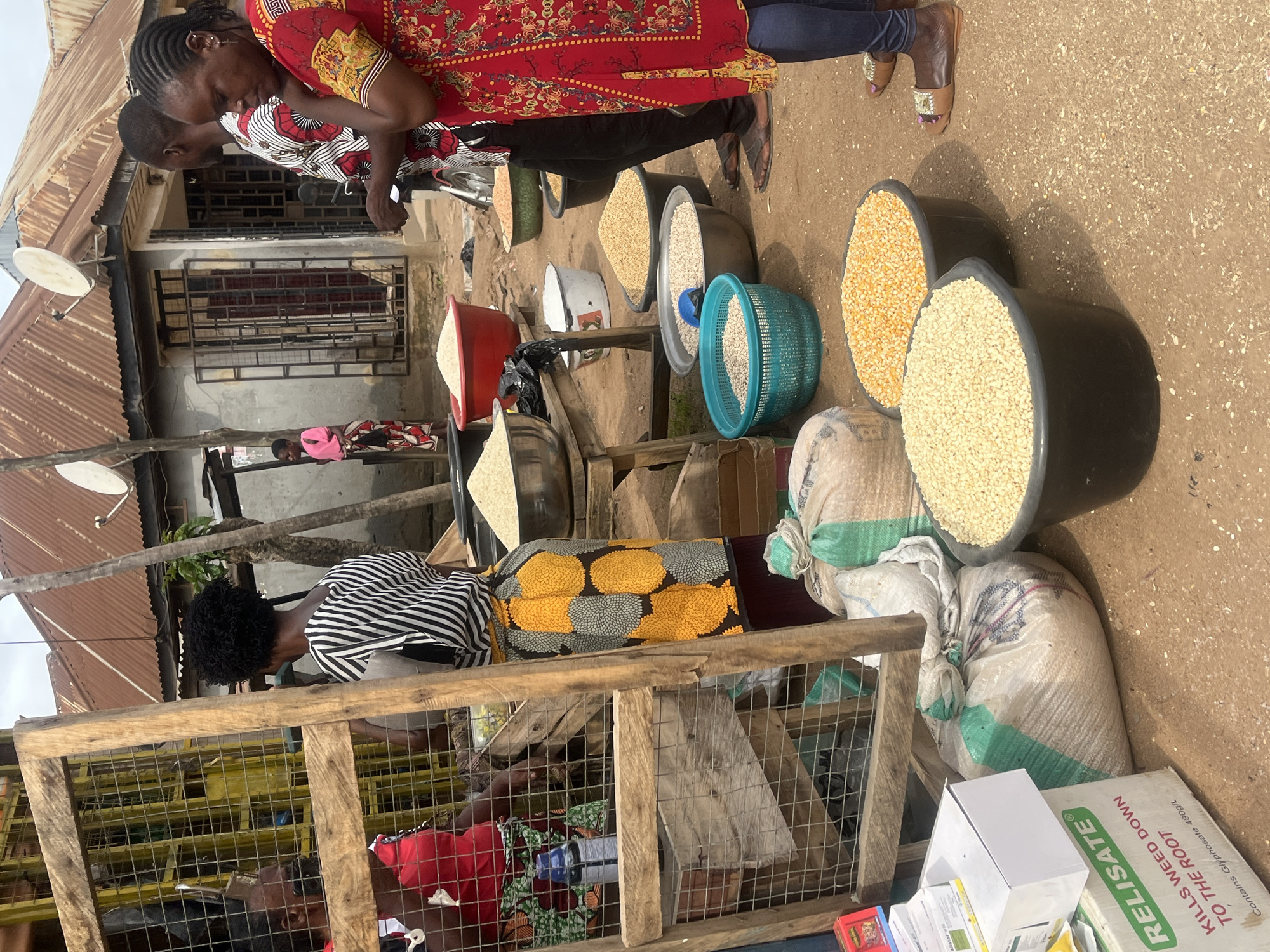 The image depicts an outdoor market scene in Jalingo, Nigeria, with several individuals engaged in commerce. The focal point is a woman wearing a red and yellow patterned dress, standing near a selection of goods. Other people are present, including a woman in a black and white striped top and a colorful patterned skirt, and a younger person wearing a pink garment.
The market stall displays various agricultural products in large containers and sacks. These include what appear to be corn kernels in a large black tub, and what looks like rice or other grains in similar containers and woven sacks. There are also smaller red and white bowls holding grains. The background shows a weathered, corrugated metal roof and a building with barred windows, suggesting a typical market environment in a developing urban or semi-urban area.
The lighting indicates it is daytime, likely with overcast conditions or shade, as there are no harsh shadows. The overall atmosphere seems busy, with people focused on their tasks.
Visible text includes a label on a box in the lower right corner of the image that reads "RELISATE" and below that, "KILLS WEED DOWN TO THE ROOT". The text is in English.
The image captures a moment of daily life and economic activity in a Nigerian market.