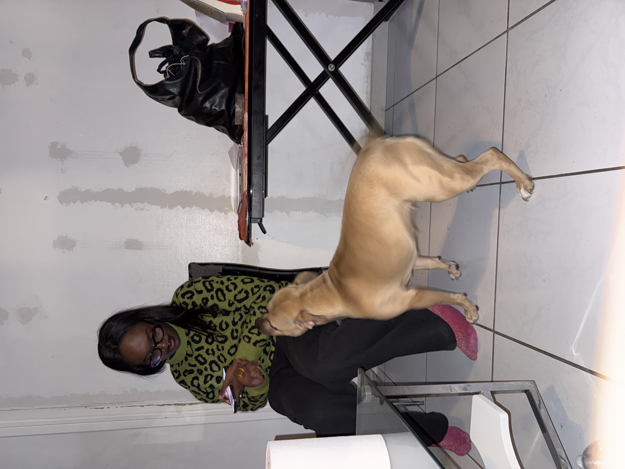 A person with long black hair and glasses, wearing a green leopard-print sweater and black pants, is sitting on a chair and holding a smartphone. A tan dog is standing next to the person. A black purse is hanging on the side of a black metal table. The location appears to be indoors with white walls and tiled floors. The city of Sarcelles, France is not discernible from the image.