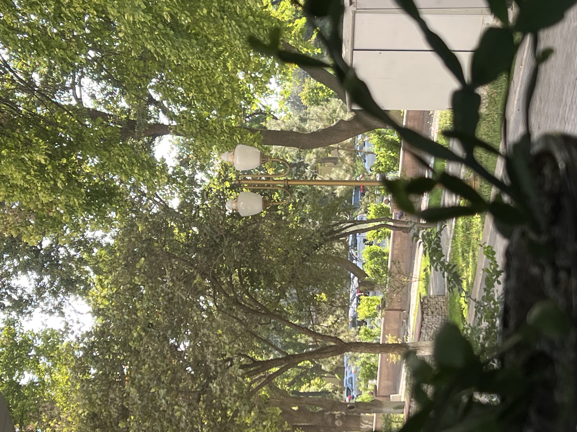 A street lamp with two white glass globes stands amongst trees in a park setting. The lamp has a golden pole and accents. In the background, several cars are parked along a tree-lined street. The foreground is blurred with a houseplant. The scene appears to be outdoors in an urban environment during the daytime.