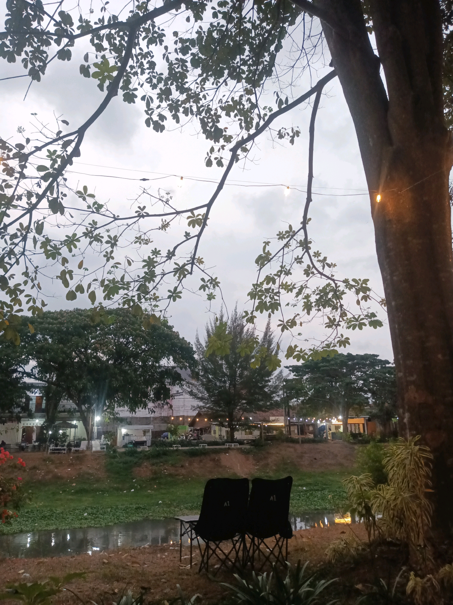 The image depicts an outdoor scene near a body of water in Tulungagung, Indonesia, likely a cafe or dining area. In the foreground, two black folding chairs with "A1" branding are positioned on the grassy bank, facing a narrow waterway. A small, dark table sits between the chairs. The waterway is partially covered with green aquatic plants, and reflections of lights can be seen on its surface.
Beyond the water, the opposite bank is lined with buildings, some of which appear to be shops or restaurants, indicated by visible storefronts and seating areas. Numerous string lights are hung between trees and buildings, suggesting an evening or twilight setting. Several trees of varying sizes and types, including a large tree trunk dominating the right side of the frame, are present throughout the scene. The sky is overcast and grey. No people are clearly identifiable as engaged in any activity. The overall impression is a relaxed, somewhat dimly lit, outdoor ambiance.