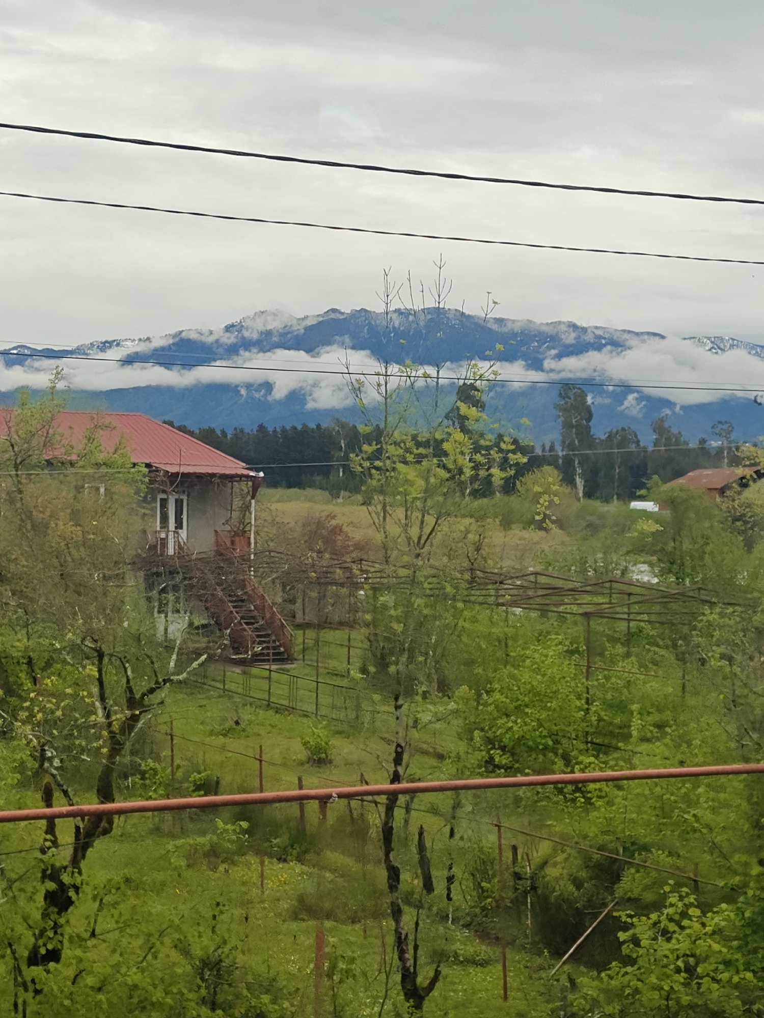 This photograph captures a tranquil, semi-rural landscape on an overcast day, dominated by lush green vegetation and distant mountains. In the background, a majestic mountain range rises, its peaks partially obscured by a thick blanket of grey clouds, with visible patches of snow on the upper slopes. The lower parts of the mountains are covered in dense, dark green forest.
In the mid-ground, slightly to the left, stands a two-story house with a prominent red gable roof and light-colored walls. An exterior, reddish-brown metal staircase leads up to an upper-level entrance, which features white doors or windows and a small porch. Surrounding the house and extending into the foreground is abundant greenery, including numerous trees and bushes with vibrant green leaves, indicating spring or early summer. Some trees show signs of new growth or still have some bare branches.
Various metal structures, including what appear to be fences and possibly trellises, are interspersed throughout the green landscape. A thick, reddish-brown horizontal metal bar crosses the lower portion of the frame, likely part of a fence or railing in the immediate foreground. Above the scene, two dark power lines stretch horizontally across the cloudy sky, with a third, lower line also visible.
The weather appears cool and overcast, with a diffused light indicating daytime, likely late morning or afternoon. There is no visible activity, and no people or animals are present. No text is visible anywhere in the image. The scene suggests a peaceful, natural setting, possibly in a mountainous region.