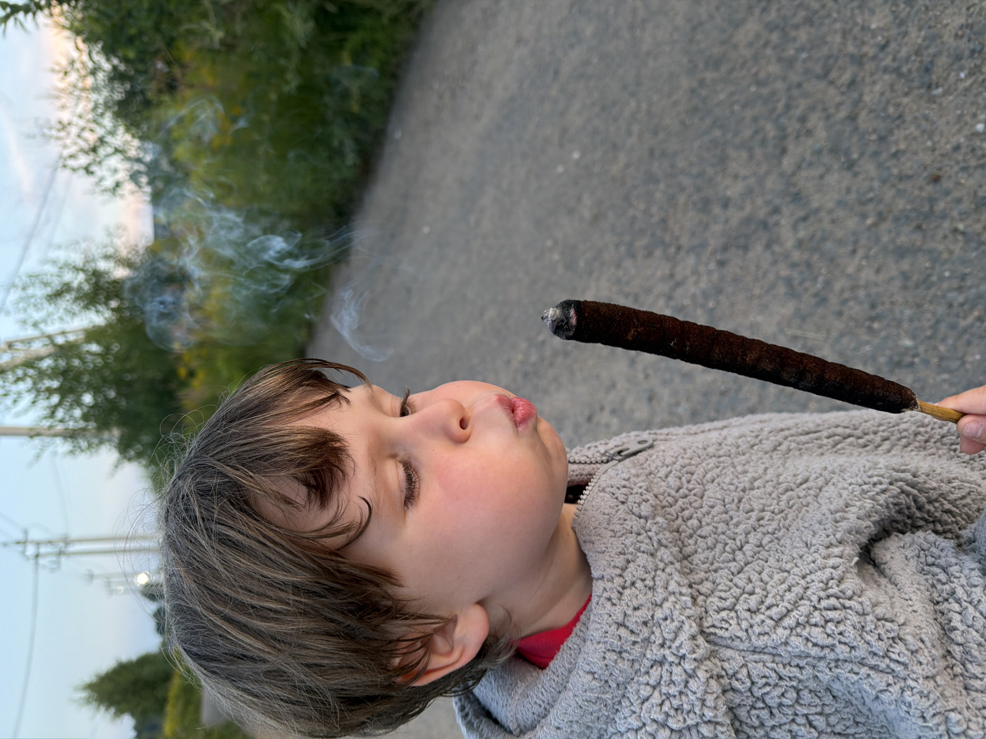 In the city of Stepankovo, Russia, a young child with brown hair and rosy cheeks is outdoors, standing on a dirt road. The child is wearing a grey, textured hooded jacket over a red shirt. The child is holding a brown cattail stalk with a smoldering end, and smoke is rising from it. The background consists of green foliage, yellow wildflowers, and utility poles against a twilight sky. The perspective is a close-up of the child's face and the cattail stalk.