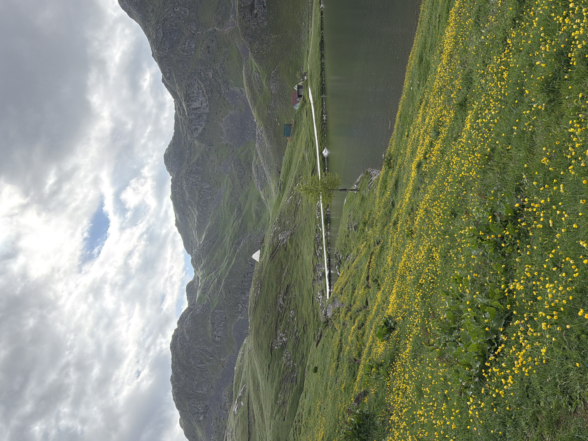 This media file captures a serene mountainous landscape featuring Kapetanovo Jezero in Montenegro. The scene is dominated by a large, calm lake nestled among rugged, green-clad mountains.
On the left side of the image, steep, rocky mountain slopes rise dramatically, covered in patches of green vegetation. The sky above is largely cloudy, with a mix of grey and white clouds, though hints of blue sky are visible in places, suggesting a dynamic weather pattern.
The lake itself occupies the middle ground, its surface appearing calm and dark, possibly reflecting the cloudy sky. Along the far shore of the lake, a narrow strip of land is visible with a few small, rustic buildings or huts, indicating a modest human presence. A distinct bright reflection, possibly of sunlight or a path, stretches across the water towards these structures. A single small tree stands near the water's edge on this far side.
In the foreground and extending towards the right, a vibrant green grassy hillside slopes down towards the lake. This hillside is densely covered with numerous small, bright yellow flowers, possibly buttercups, creating a rich carpet of color. The overall impression is one of natural beauty and tranquility, likely captured during daytime, possibly late morning or afternoon, given the light conditions. There are no visible people or discernible text in the image.