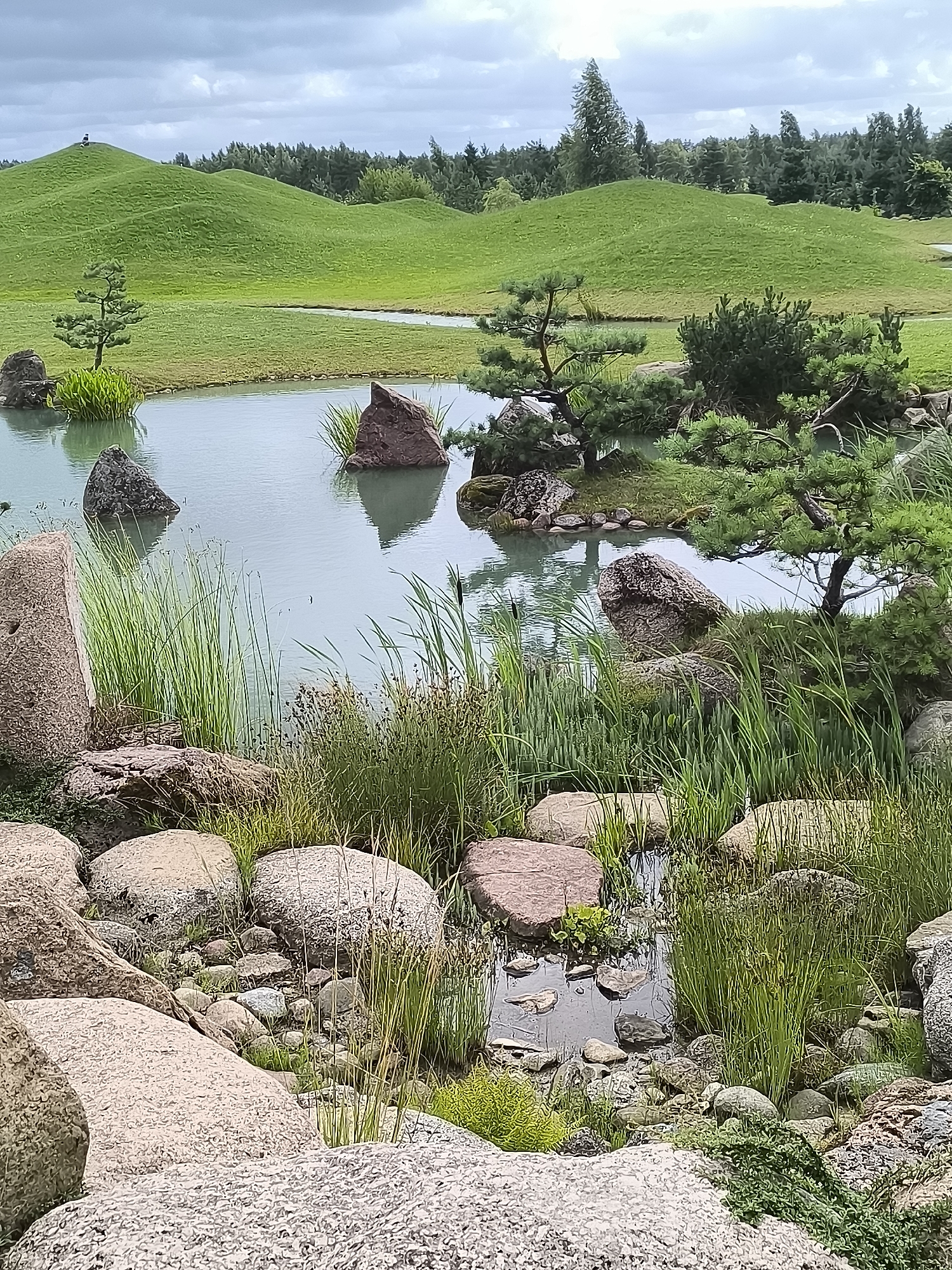 The image depicts a meticulously designed Japanese garden with rolling green hills in the background, a tranquil pond, and strategically placed rocks and vegetation. The foreground features a rocky landscape with various sizes of stones and tall, slender grasses. The pond's surface is calm, reflecting the overcast sky. Small, bonsai-like trees are visible near the water's edge. In the distance, a figure is seen standing atop one of the grassy mounds. The overall impression is one of serenity and natural beauty, characteristic of a carefully curated garden. The location is identified as being in Mažučiai, Lithuania.