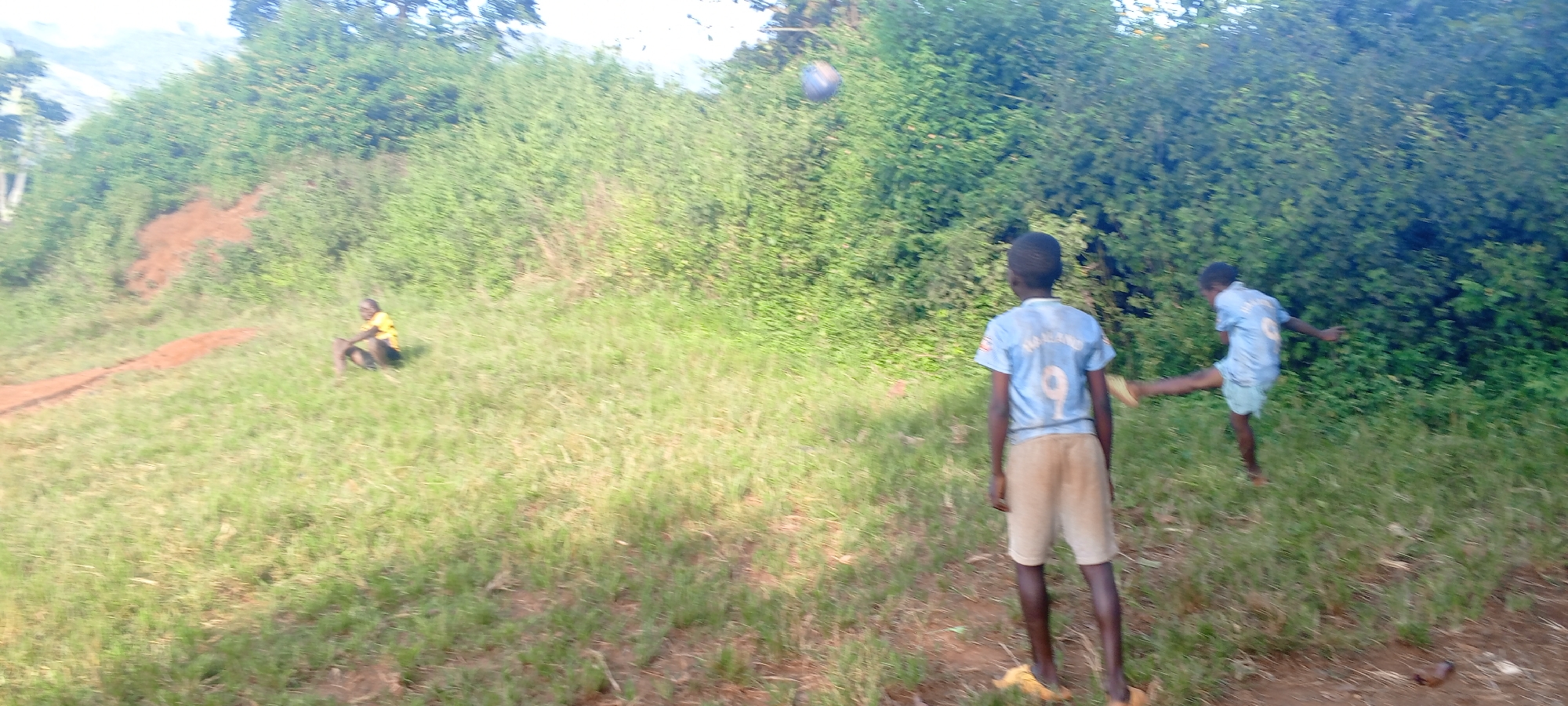 In Ngalula, Democratic Republic of the Congo, a grassy field is bordered by dense green foliage. Three boys are present. One boy is seated on a dirt patch, wearing a yellow shirt. Two boys stand closer to the viewer; one is kicking a blue ball while wearing a light blue soccer jersey with the number 9 on the back, and the other has a similar jersey. Both boys are barefoot.