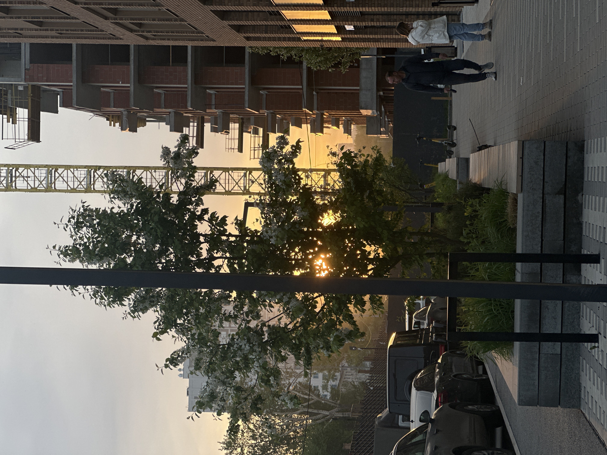 Here is a description of the image:
The image shows a street scene in Yekaterinburg, Russia. In the background, a multi-story building is under construction with a yellow crane visible. A tree with white blossoms is in the foreground, partially obscuring the setting sun. There are several parked cars along the street. Two pedestrians, a man and a woman, are walking on the sidewalk. Scooters are seen parked. Pavement with a light grey grid pattern is prominent on the right side of the image. A black metal structure is also visible.