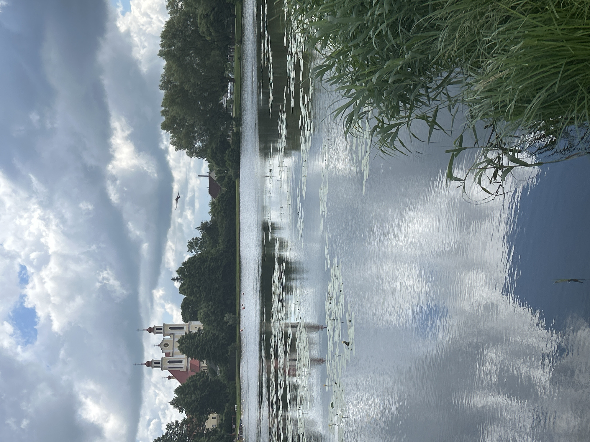 The image captures a serene view of Lake Jursheviskoye in Iwye, Belarus, on a cloudy day. In the background, a prominent church with red roofs and white spires stands tall amidst lush green trees. The lake's surface is calm, reflecting the sky and the surrounding scenery, with scattered lily pads dotting its expanse. Tall reeds and grasses grow along the right bank, adding a natural texture to the foreground. A bird is seen in flight in the upper right portion of the frame. The scene conveys a peaceful and picturesque atmosphere.