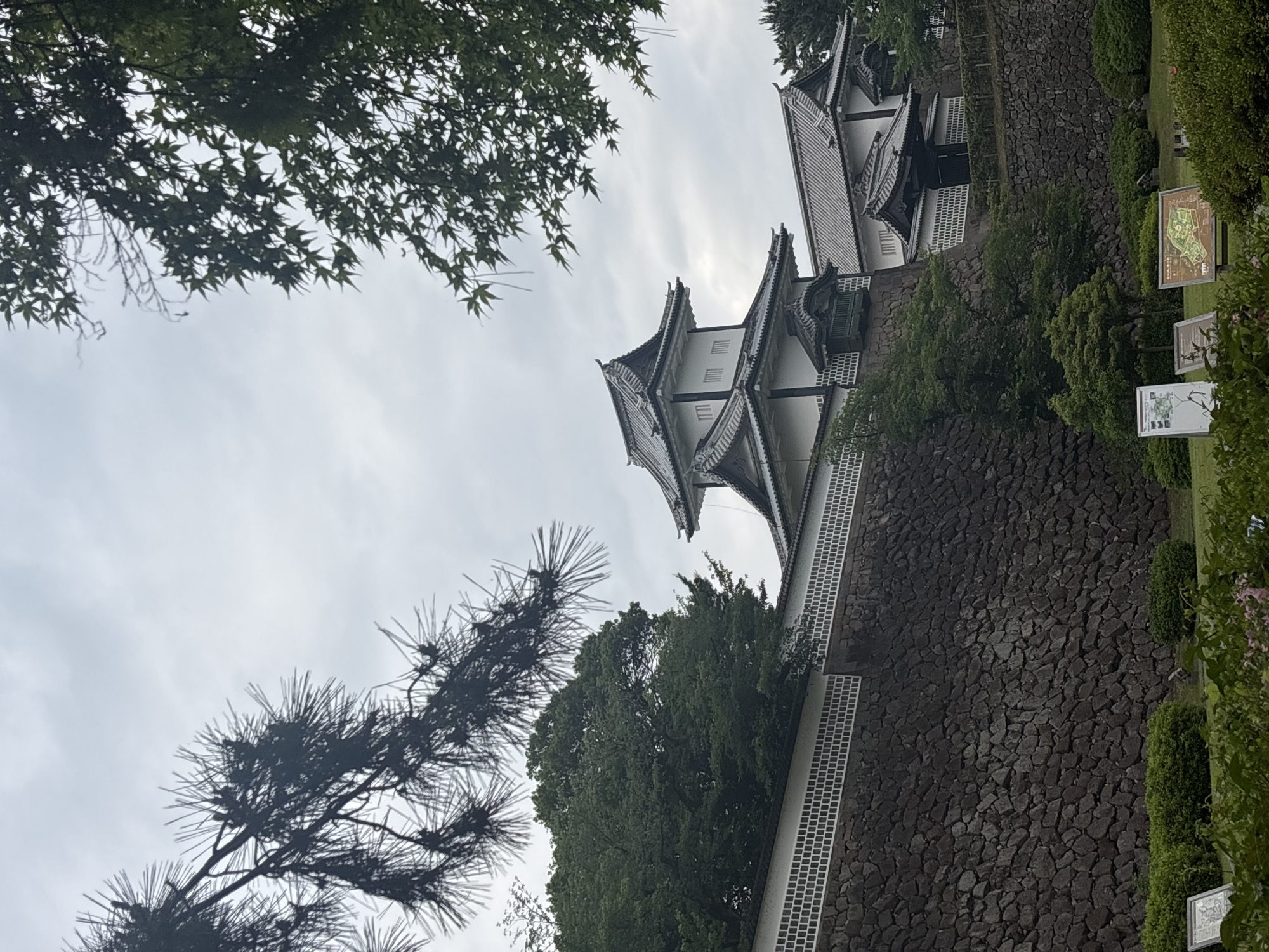 This vertical, upward-angled outdoor shot captures the grandeur of a traditional Japanese building, likely a castle or fortified structure, set against a cloudy, overcast sky. The building, prominent on the right side of the frame, exhibits characteristic Japanese architecture with multiple dark, tiered tiled roofs featuring elegant curved eaves and decorative gables. Its white walls are interspersed with patterned, small rectangular vents or windows, resting upon a formidable stone base or wall.
In the lower left, the silhouette of a pine branch with distinct needles stretches diagonally upwards. Further into the mid-ground, a dense, verdant tree with lush foliage stands, while the upper left corner is framed by the delicate, star-shaped leaves of what appears to be a maple tree.
A substantial, dark stone wall, constructed from irregularly shaped rocks, forms the foundation of the building and extends across the lower portion of the image. To the right of this wall, a well-maintained green lawn with manicured bushes is visible. Several white information boards are positioned vertically within the grass. The uppermost board displays a green-toned map or diagram, while the others feature unreadable black text and smaller diagrams, likely providing details about the location or its history.
The scene conveys a sense of historical tranquility, under a soft, diffuse light indicative of an overcast day. The architectural style and natural surroundings are consistent with a Japanese castle garden or historical site, aligning with the context of Kanazawa, Japan. There are no people or specific activities depicted.