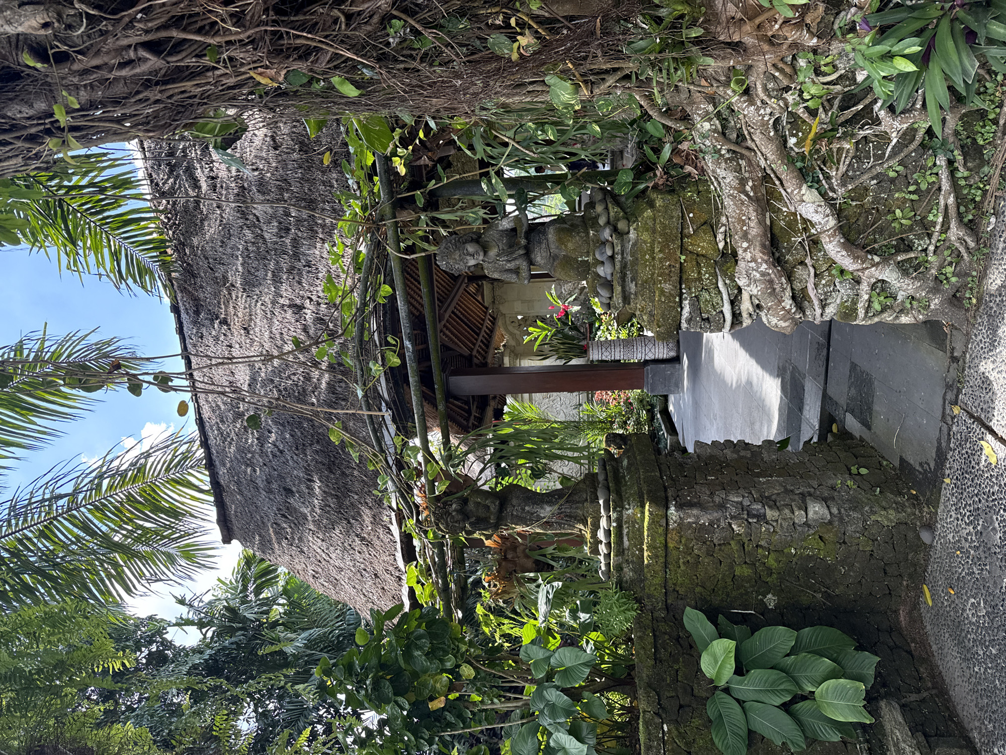The image shows an outdoor scene at the entrance to a building with a thatched roof. Two stone statues are positioned on moss-covered stone pillars, flanking an entryway. The statue on the left depicts a standing figure, while the statue on the right shows a seated figure with hands in a prayer-like gesture. Lush green vegetation, including palm fronds and vines, surrounds the statues and the building, with a large tree with exposed roots visible on the right side of the frame. The ground in the foreground is paved with small stones, transitioning to larger stone tiles leading into the building. The building itself appears to be constructed with wood and stone, with an open-air entrance revealing glimpses of interior architecture. The overall impression is of a tropical, possibly spiritual or historical, location within a natural setting. The context suggests this scene is located in the Ubud District, Indonesia.