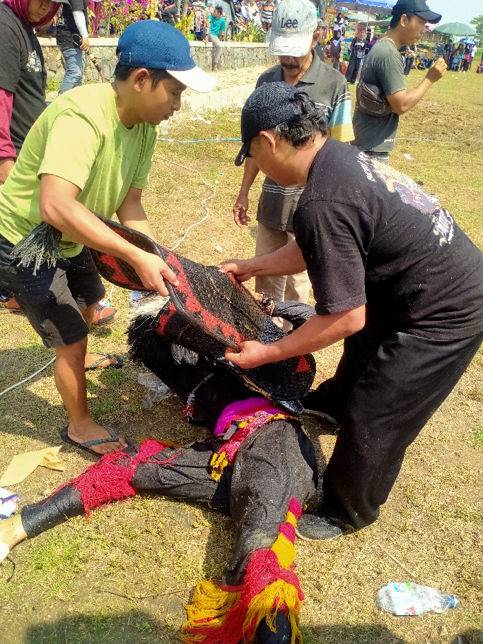 This image, captured in Celep, Indonesia, depicts an outdoor scene on a dry, grassy field under bright daylight. Three individuals are central to the frame. A person lies on their left side on the ground, wearing a dark grey costume that includes trousers adorned with red and yellow fringed fabric on the lower legs, a pink sash around the waist, and a dark, possibly feathered or fibrous, upper body and headpiece featuring red linear patterns. Two male attendants are actively engaged with this prone individual. The attendant on the left wears a lime green short-sleeved shirt, dark shorts, a blue and white baseball cap, and flip-flops. The attendant on the right wears a black short-sleeved t-shirt with a graphic, black trousers, and a black baseball cap. Both attendants are crouched or kneeling, collaboratively manipulating the dark, textured costume piece, appearing to either remove or adjust it from the person on the ground. In the immediate vicinity, a crumpled white plastic water bottle is visible on the ground. In the midground and background, other individuals are observed, some standing on a slight embankment, suggesting a public gathering or performance event. One man in the background wears a striped polo shirt and a light-colored "Lee" baseball cap.