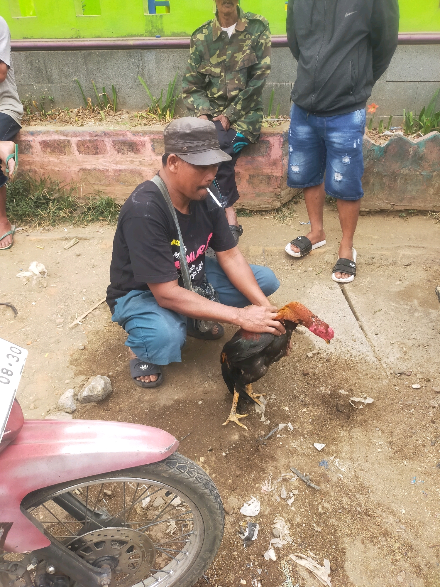 In the city of Gondanglegi, Indonesia, on an outdoor paved surface, a man wearing a dark t-shirt and blue pants crouches near a rooster. He holds the rooster, which has red wattles and black and red plumage. A cigarette is visible in the man's mouth. To the left, a portion of a pink motorcycle is visible, including its wheel and fender. Behind the man, two other individuals are present. One wears a camouflage jacket and the other a black jacket and ripped denim shorts. The ground is a mixture of dirt, pebbles, and scattered debris. A low brick wall and green painted wall form the background.