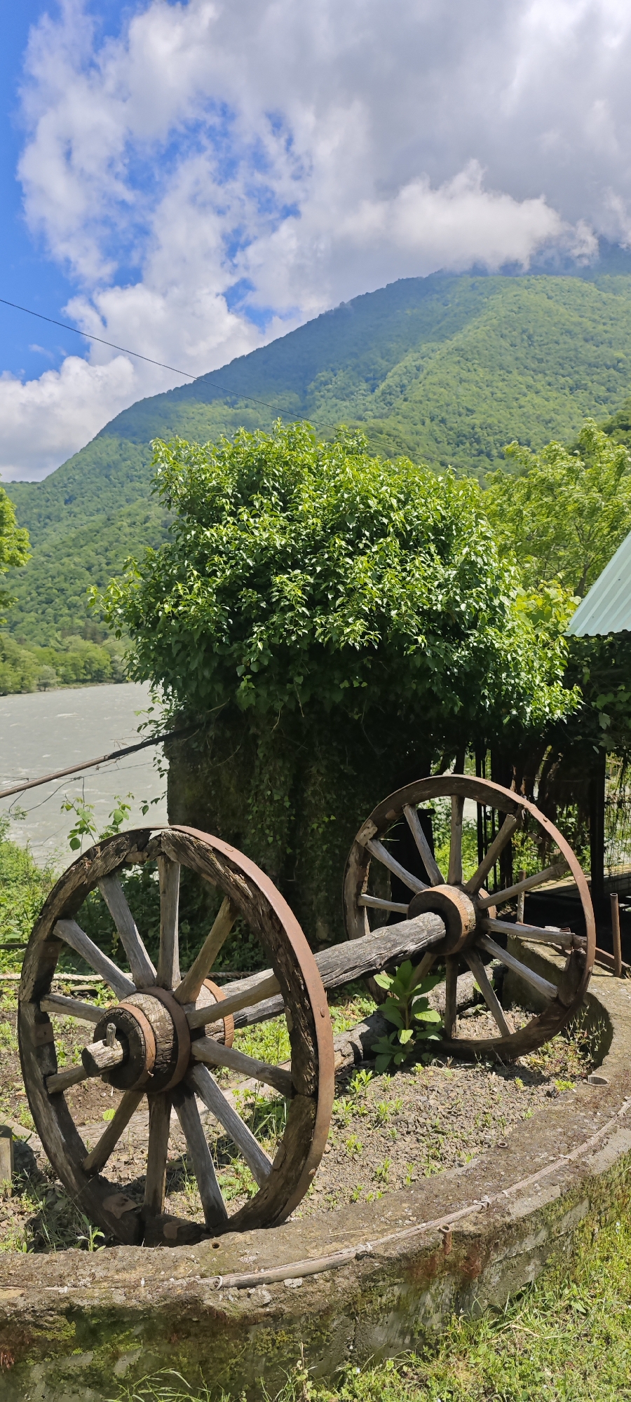 This vertical image captures a tranquil natural landscape in Bzypta, Abkhazia, on a bright, partly cloudy day. In the foreground, two weathered wooden wagon wheels with rusty metal rims and spokes are prominently displayed, connected by a rustic wooden axle. They rest on a patch of grass and dirt beside a low concrete wall.
Behind the wheels, a large, dense, and vibrant green bush dominates the mid-ground, its foliage rich and leafy. To the left of the bush, a calm, grey river flows, reflecting the muted light. The river runs along the base of a magnificent, verdant mountain that stretches across the background, its slopes entirely covered in lush green trees under a bright blue sky dotted with fluffy white clouds. A thin power line or cable is visible stretching horizontally across the upper portion of the sky. On the far right, a small corner of a green corrugated roof can be seen, hinting at nearby structures. The scene conveys a sense of rustic charm and natural beauty, with no human activity taking place. There is no visible text.