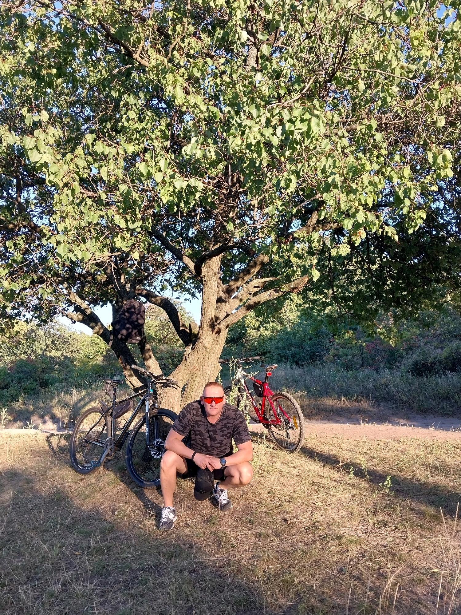 A man wearing a camouflage t-shirt, black shorts, sunglasses, and athletic shoes is crouching under a large tree. A black backpack is hanging on the tree trunk behind him. Two bicycles are parked near the tree: a black mountain bike to the left of the man and a red bicycle to the right. The scene is outdoors in a natural setting with dry grass and trees, suggesting it could be a park or a wooded area. The lighting indicates it is daytime, likely late afternoon due to the long shadows. The image does not provide specific details about the city of Dnipro, Ukraine.