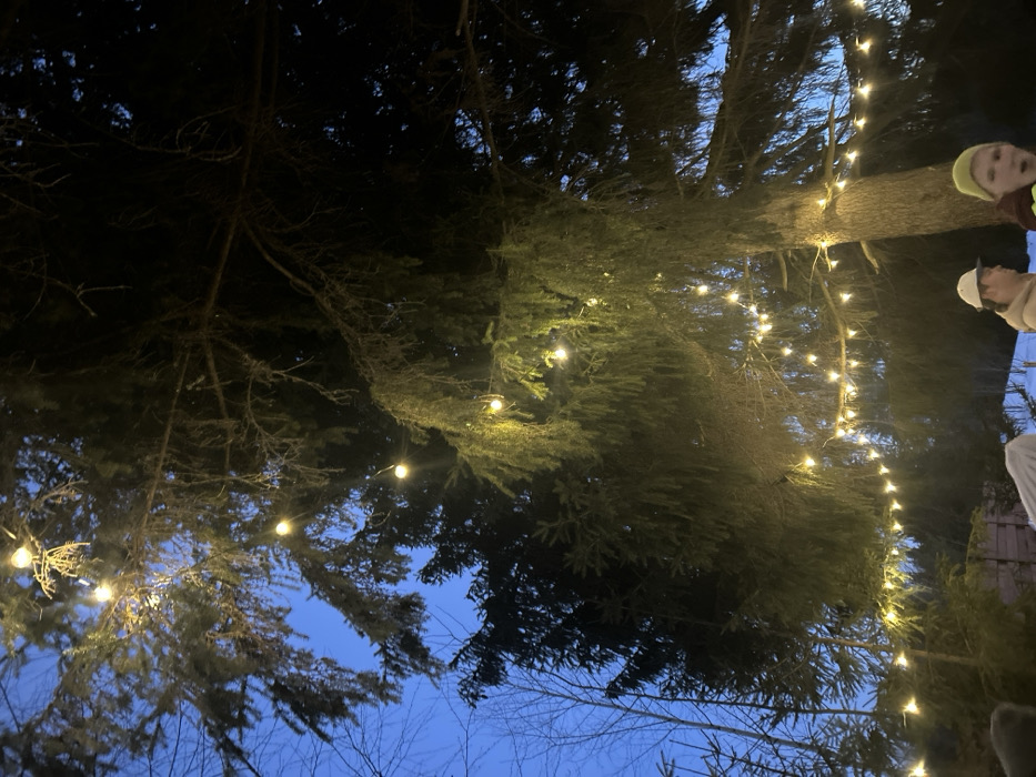 This image depicts an outdoor scene in Lesnoy, Russia, at twilight or during evening hours. The foreground and midground are dominated by several conifer trees, whose branches are adorned with multiple strands of illuminated, warm-toned spherical string lights. The sky above is a dark blue. Snow covers the ground, visible in the lower portion of the image, extending towards a background featuring additional trees, some appearing deciduous and bare. Two individuals are partially visible in the lower right quadrant. One person wears a light-colored baseball cap and a light-colored jacket, with their head turned towards the right side of the frame. The second individual, positioned to the right and slightly closer, wears a bright yellow beanie and a dark jacket with red detailing. This person's mouth is open, and their gaze is directed generally forward.