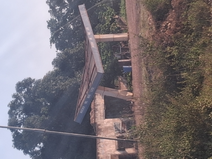 This image displays an unpaved outdoor scene in Mutum Biyu, Nigeria, centered on a disused fuel station canopy structure. The canopy, colored blue-grey, bears the white inscription "MICKS OIL NIG LTD" on its visible underside and is supported by two prominent, light-colored concrete pillars. To the left of the canopy, a dilapidated light-brown concrete wall structure, featuring an opening and stacked metal grates, is visible. The background consists of dense green trees and foliage against a hazy, bright sky, with a tall, dark vertical pole positioned on the far left. The ground immediately beneath and around the canopy is reddish-brown dirt or gravel. Near the base of the right concrete pillar, a blue plastic barrel and indistinct dark objects, possibly furniture, are present. The immediate foreground is dominated by abundant, unkempt green and brown grasses and weeds, with a small mound of earth or debris visible on the right. No individuals are present, and no actions or interactions are observed.