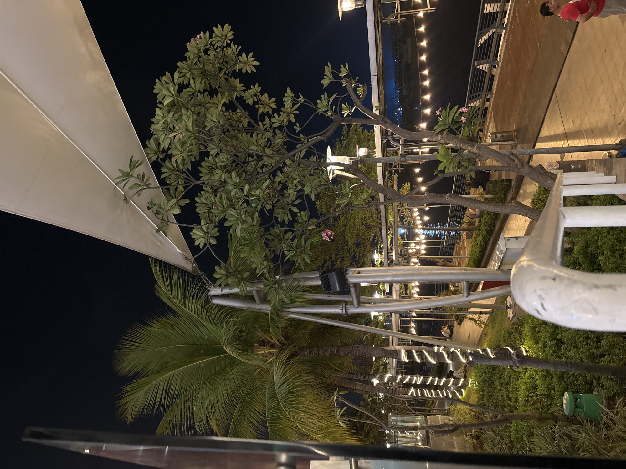 A night scene unfolds at Ancol Beach City, North Jakarta, Indonesia, featuring a waterfront promenade lined with palm trees and lush greenery. String lights drape across some palm trees, creating a festive ambiance. A large, light-colored awning stretches overhead, providing shade. Various plants and trees are scattered throughout the area, with small pink flowers visible on one of the trees. Several individuals are present: a person in a red shirt is visible on the right side, walking along the promenade, while two people sit on a bench further down the walkway. Another two individuals are seated on the grass near the palm trees on the left. The promenade itself is paved with reddish-brown bricks, and a metal railing separates it from the dark water. Numerous light fixtures illuminate the scene, casting a warm glow. In the foreground, a white railing obstructs a portion of the view, and a green trash can is situated near the plants on the left.