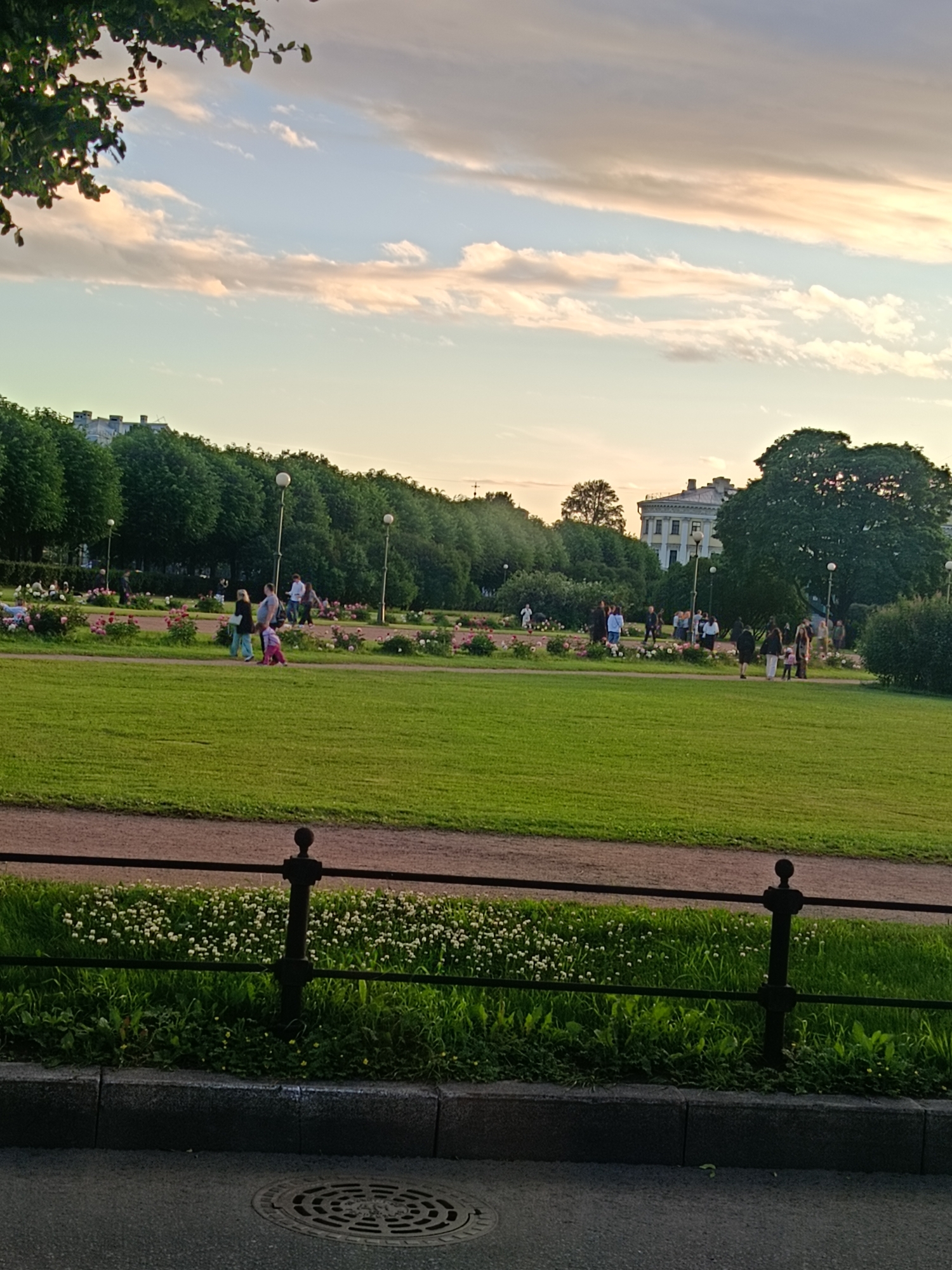 The image depicts a park scene in Saint Petersburg, Russia, likely during the early evening given the soft, warm light and the presence of people enjoying the outdoors. In the foreground, a paved area transitions to a low, dark metal fence bordering a lush green lawn dotted with small white flowers. Beyond the lawn, a sandy path winds through the park, bordered by flowerbeds with pink and white blooms. Several people are visible walking and standing along the path and in the flowerbeds, some appearing to be couples or families. Tall, mature trees line the mid-ground, casting dappled shadows and forming a verdant backdrop. In the distance, a stately building with a light-colored facade and a mansard roof is visible amongst the trees. The sky above is a soft blue, streaked with wispy clouds tinged with the golden hues of sunset. The overall atmosphere is one of peaceful recreation and urban greenery.