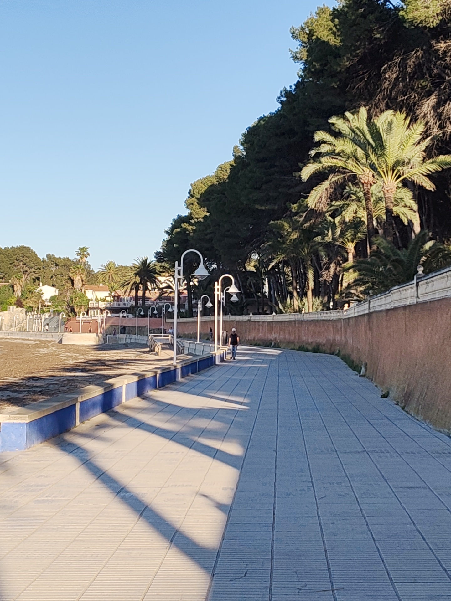 The image depicts a sunlit promenade along what appears to be a coastal area, characteristic of Dénia, Spain. A lone person, a man, is seen walking away from the viewer on the textured, paved pathway that gently curves to the right. The walkway features a distinctive blue-painted concrete base along its left edge.
To the right of the promenade, a long, reddish-brown retaining wall with a decorative white coping separates the path from a lush, green hillside. This hillside is densely covered with a mix of tall, dark green pine trees and various palm trees, creating a natural, verdant backdrop. Several ornate white streetlights are spaced along the promenade, casting long, diagonal shadows onto the path. These prominent shadows, combined with the clear, bright sky, suggest the time of day is either early morning or late afternoon.
On the left side of the scene, beyond the paved path, lies a wide, light brown sandy area, possibly a beach or a dry riverbed. Further in the background on this side, several buildings with white walls and tiled roofs are visible, nestled amidst more palm trees and other greenery, hinting at a residential or resort area. The sky above is a clear, unblemished blue. There is no visible text in the image. The overall atmosphere is serene and warm, typical of a Mediterranean setting.