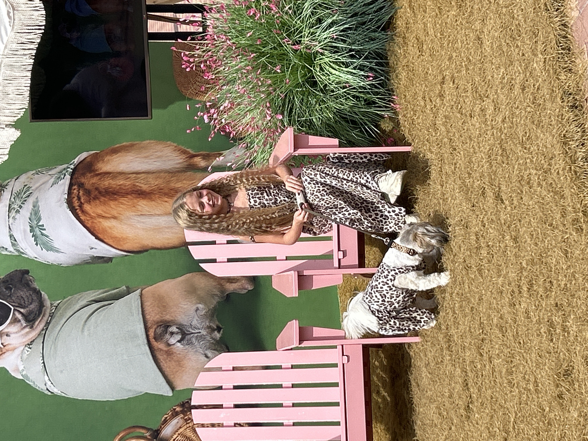 In Pokrovskoe, Russia, a young girl with long, wavy blonde hair sits in a pink Adirondack chair, wearing a leopard-print dress. She smiles and holds a phone in her right hand. Beside her, a small white dog, also dressed in a leopard-print outfit, sniffs the ground. The ground appears to be covered in a textured, tan material resembling straw or dry grass. In the background, a large mural depicts two bulldogs wearing tropical-print shirts. Two pink Adirondack chairs are visible, and a lush green bush with small pink flowers is to the right of the girl. A television screen is mounted on the right side of the frame, displaying an image.