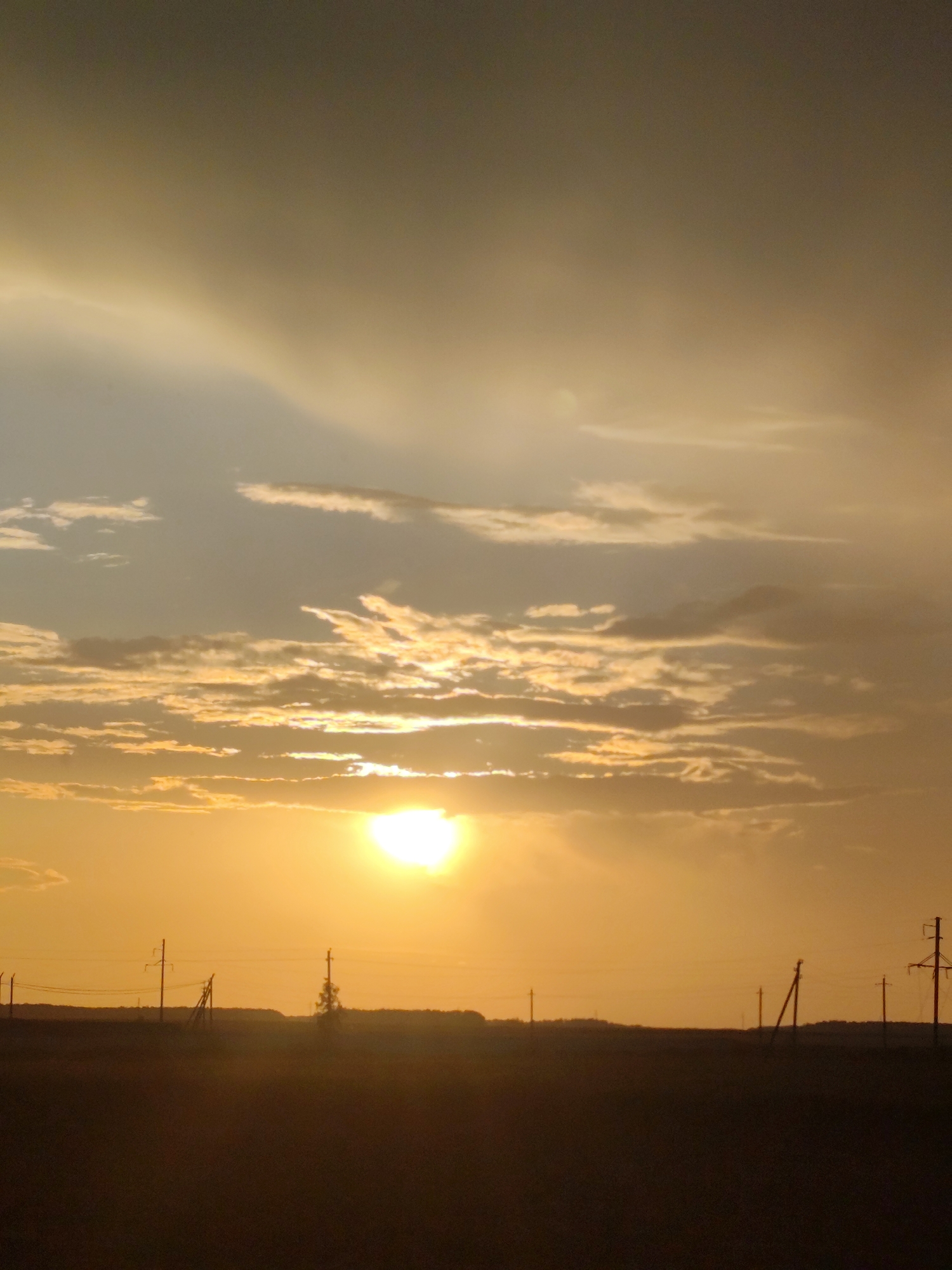The image depicts a rural landscape at sunset. The sky is filled with dramatic clouds, illuminated by the setting sun, which appears as a bright, warm orb in the middle of the frame. The foreground is dominated by a dark silhouette of a field, with a line of trees and power lines visible on the horizon. Several utility poles are scattered across the field, some supporting wires, suggesting the presence of infrastructure in this remote area. The overall atmosphere is one of tranquility and the vastness of nature. The specific location of Николаев ауылдық округі, Kazakhstan, implies a region characterized by steppes and open landscapes, which is consistent with the scene presented. There are no people or animals visible in the image.