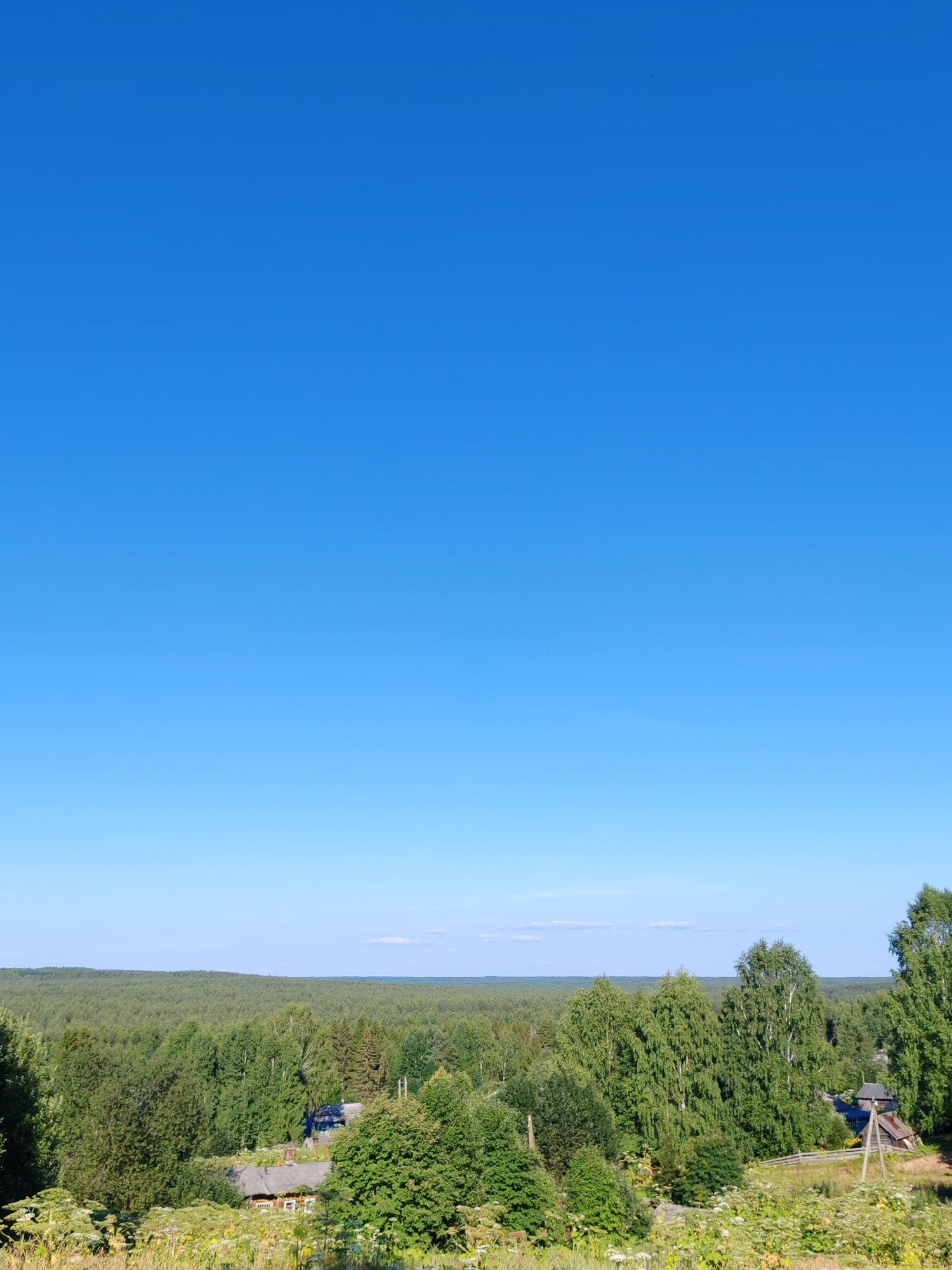 The image displays a clear blue sky above a dense forest landscape. In the foreground, there are several rustic wooden houses and structures partially visible amidst lush green foliage and tall, flowering plants. A wooden fence and utility pole are also present. The scene appears to be a rural setting, likely in the vicinity of Чухлэм, Russia, given the architectural style of the buildings and the surrounding natural environment.